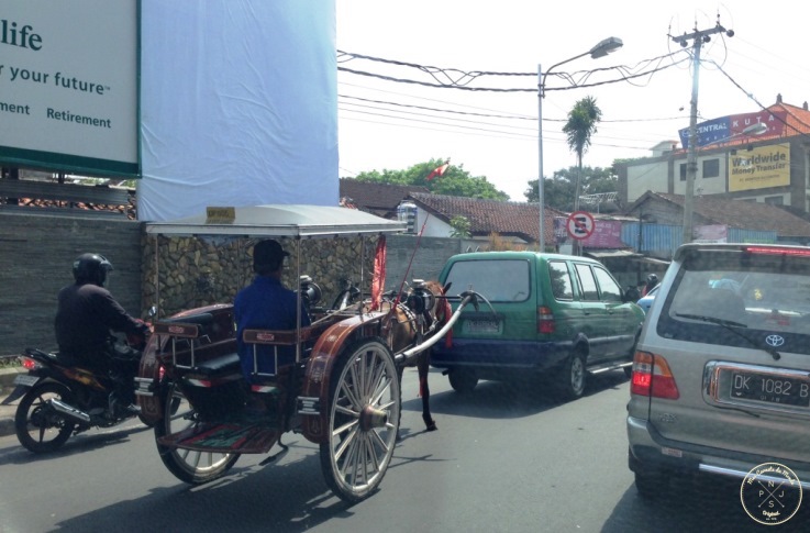 Rouler entre des voitures, scooters et une Charrette à Bali