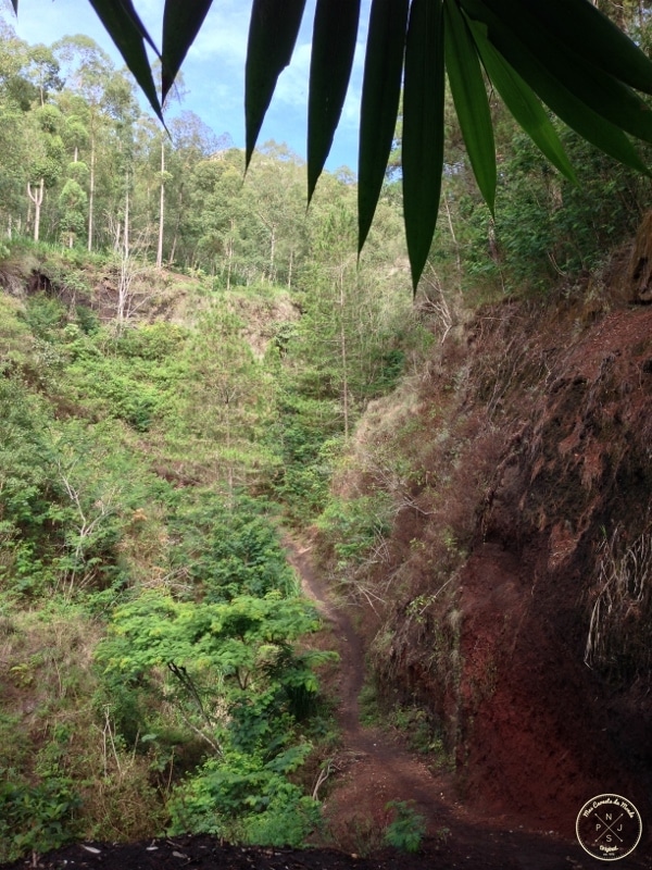 Mont Batur (21)