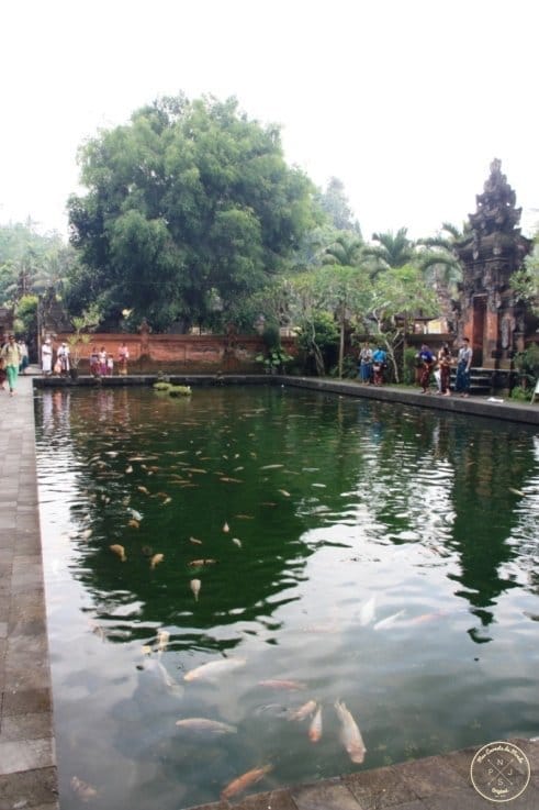 Visite du Temple Tirta Empul - Bali, Indonésie - Mes Carnets du Monde