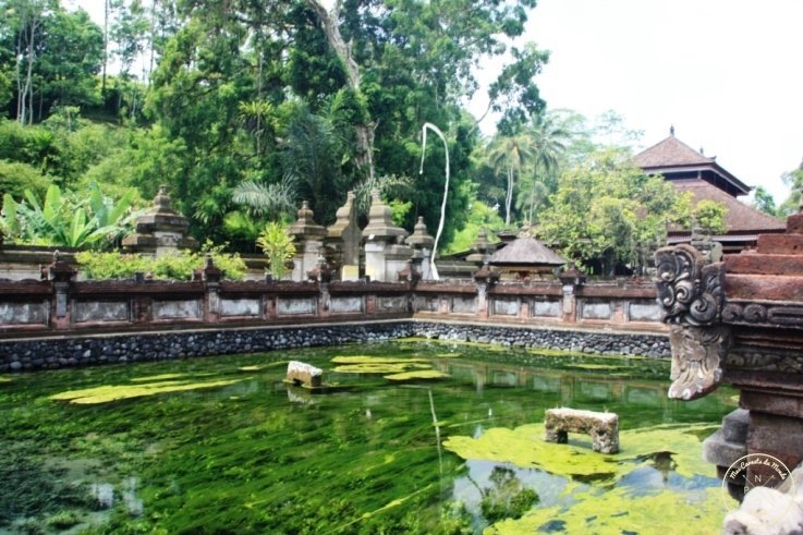 Visite du Temple Tirta Empul - Bali, Indonésie - Mes Carnets du Monde