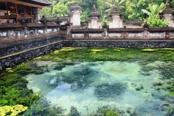 Tirta Empul Bassin 4