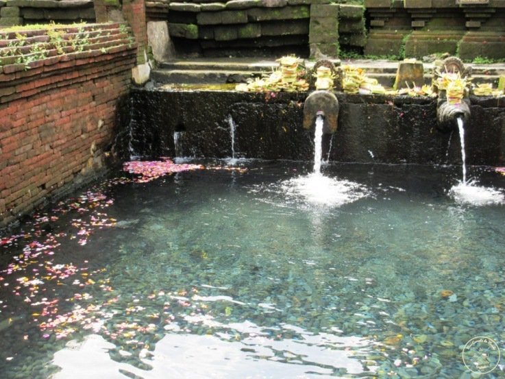 Visite du Temple Tirta Empul - Bali, Indonésie - Mes Carnets du Monde