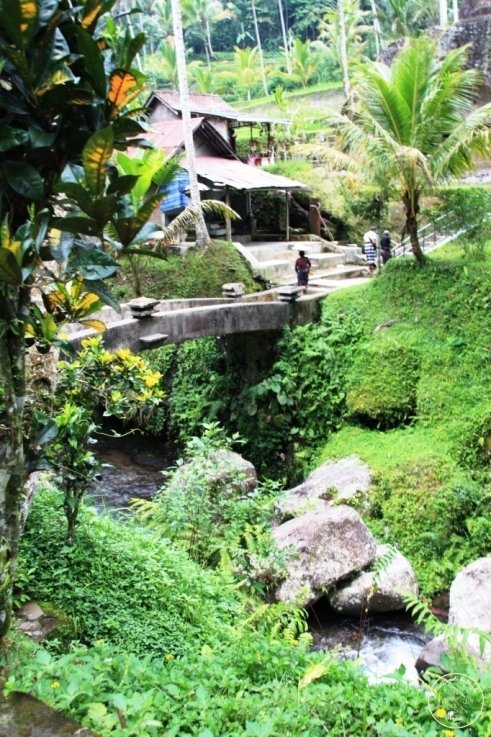 Gunung Kawi à Bali : pont sur la rivière sous les palmiers