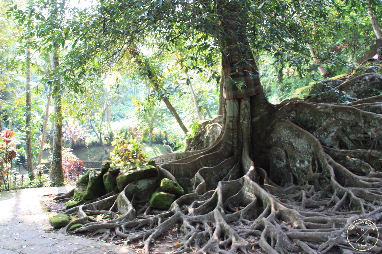 Temple de Goa Gajah à Bali, Indonésie - Mes Carnets du Monde