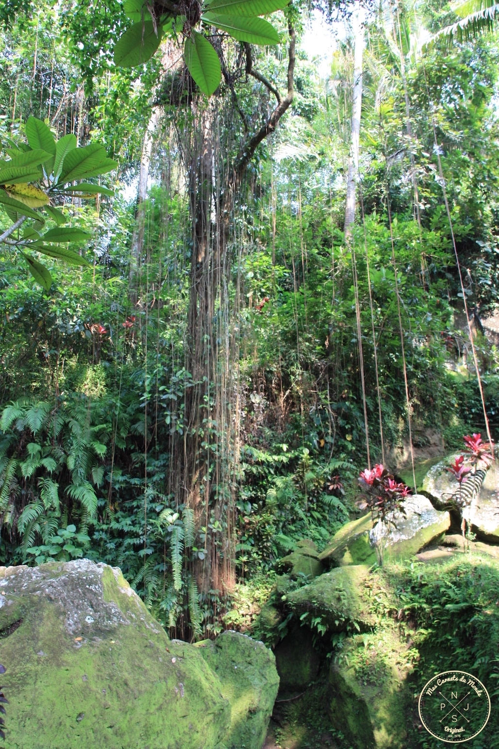 Temple de Goa Gajah à Bali, Indonésie - Mes Carnets du Monde