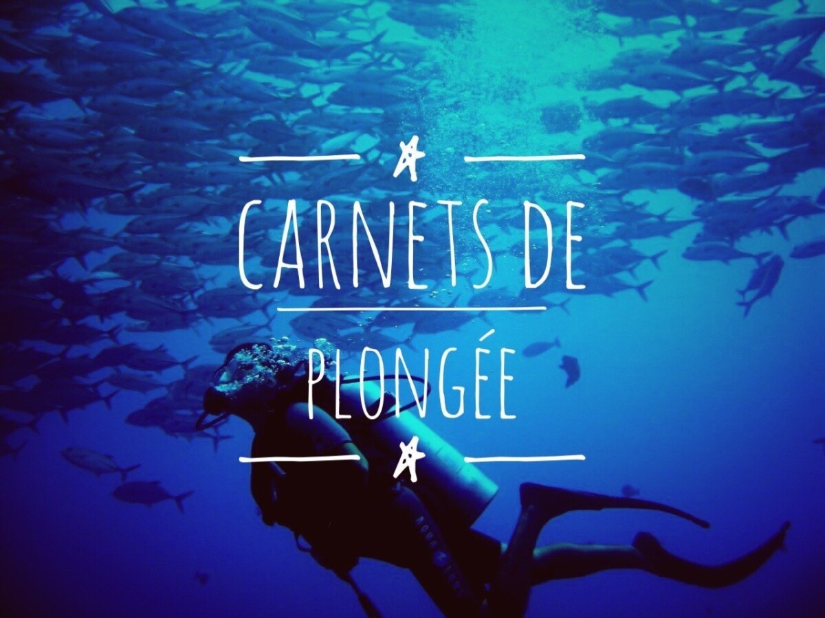 Plongée - Blog Voyage : Carnets du Monde