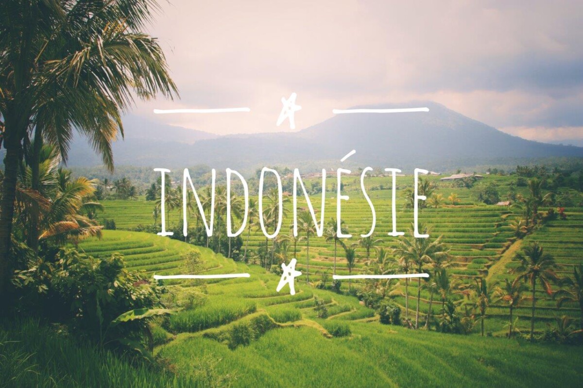 Indonésie - Blog Voyage : Carnets du Monde