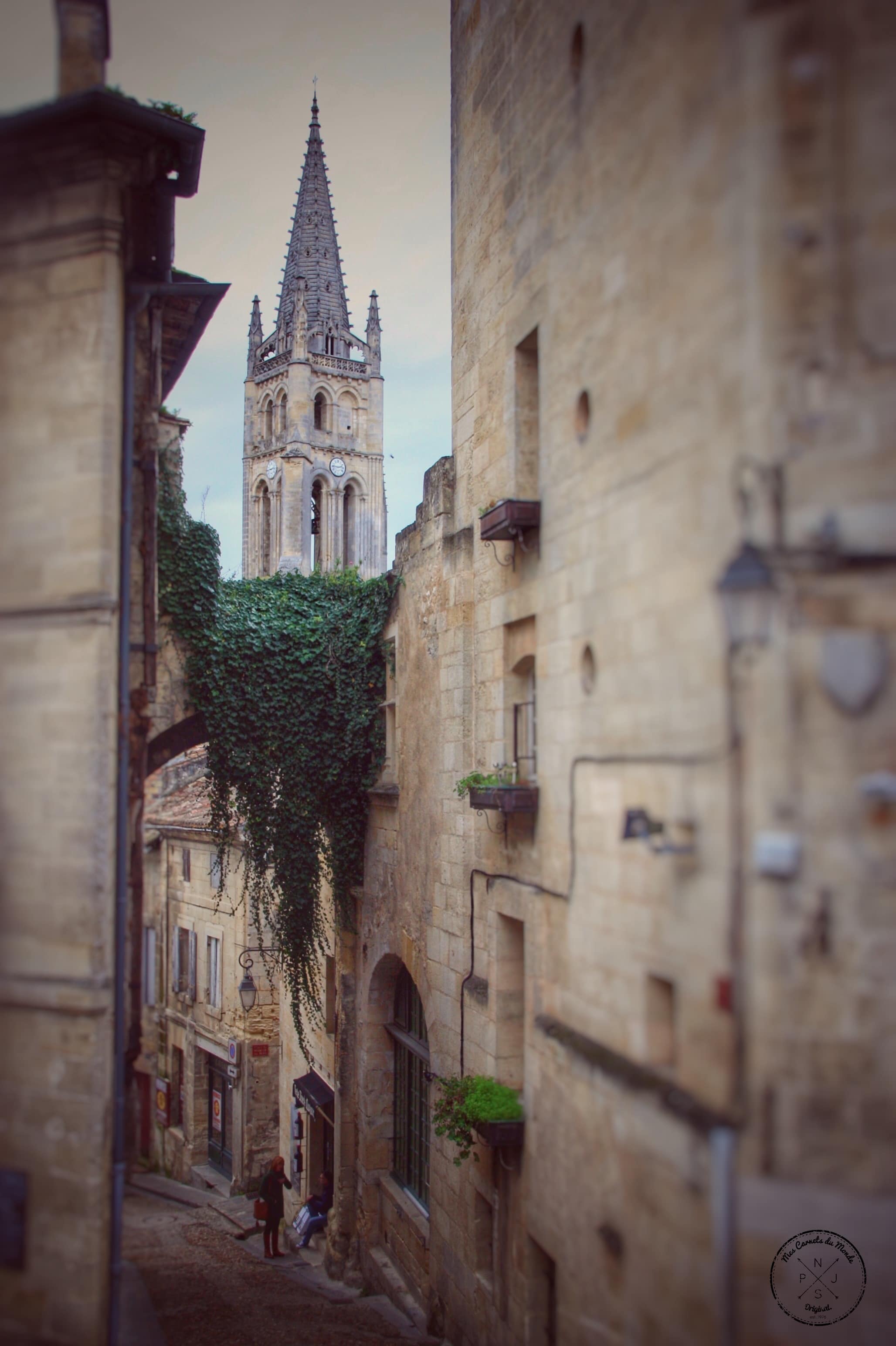 Mes Carnets du Monde - Saint Emilion