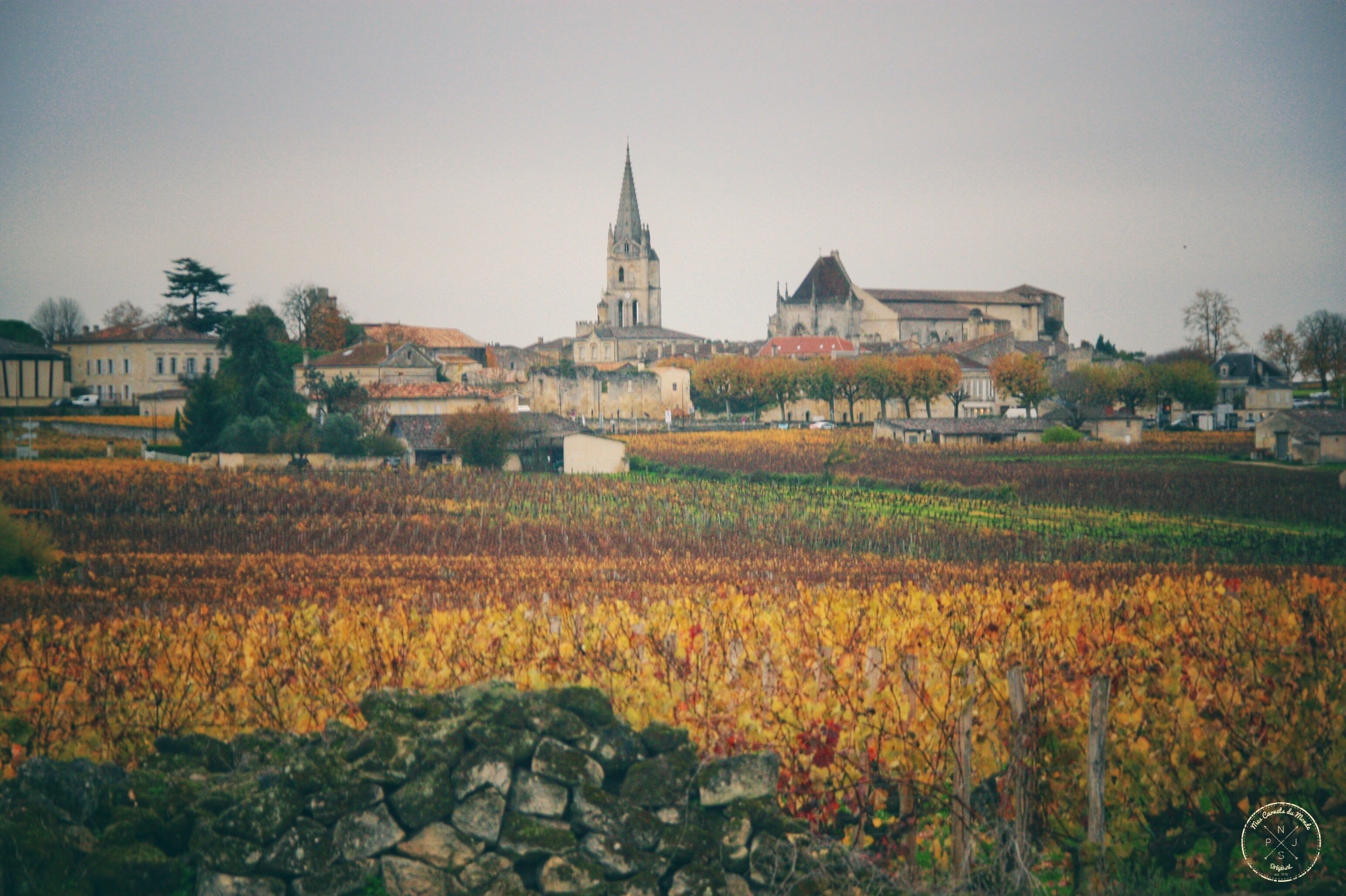 Oenotourisme : Visite de Château depuis Bordeaux - St Emilion