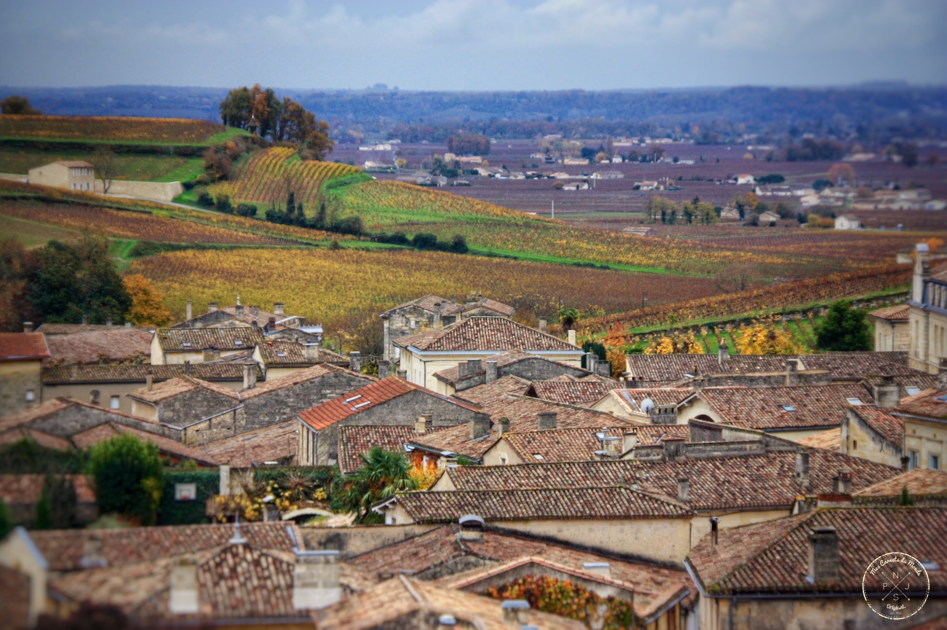 Oenotourisme : Visite de Château depuis Bordeaux - St Emilion