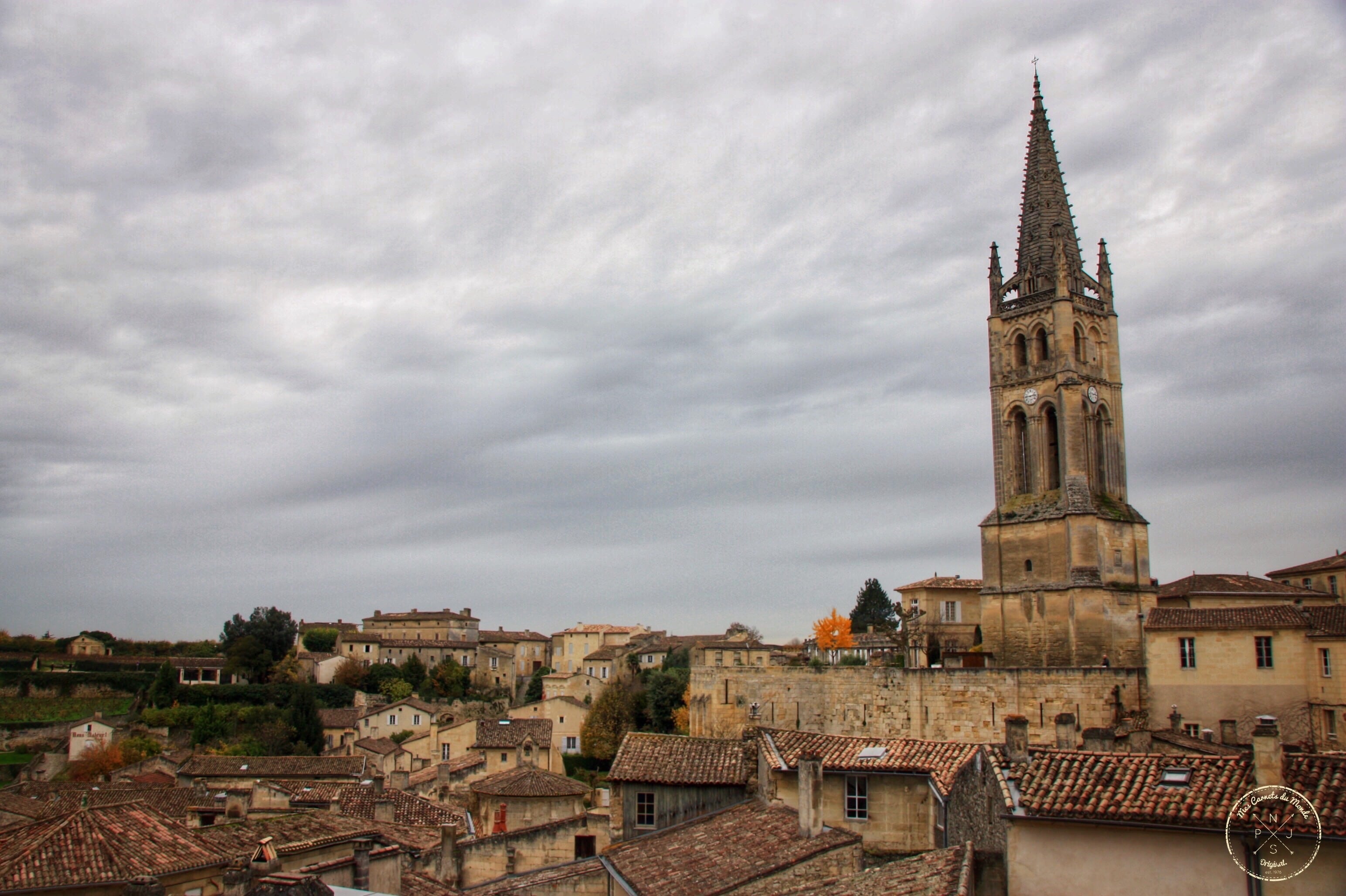 Visite de Châteaux à Bordeaux, Oenotourisme à Bordeaux et Visite de Châteaux à Saint-Emilion : un tour di-vin !, Mes Carnets du Monde