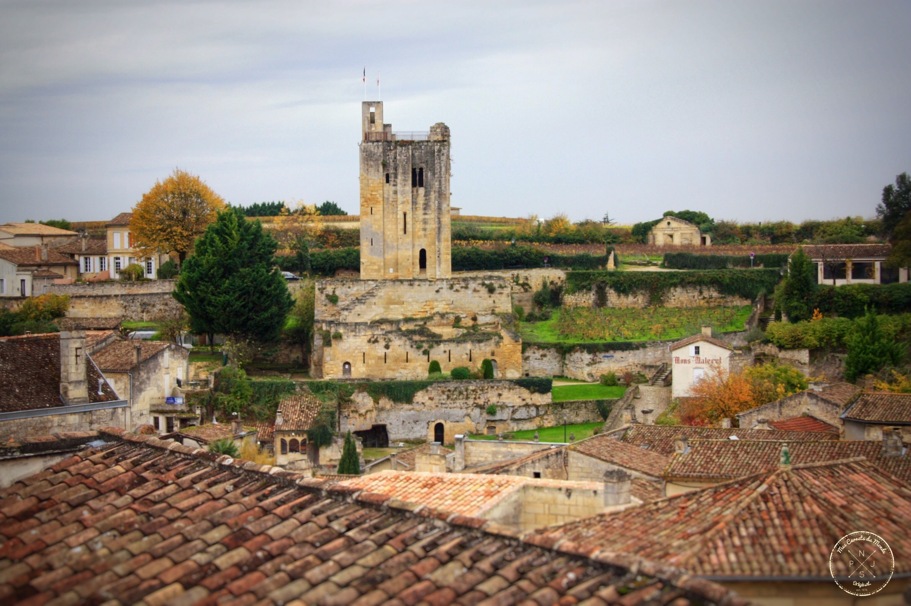 Oenotourisme : Visite de Château depuis Bordeaux - St Emilion