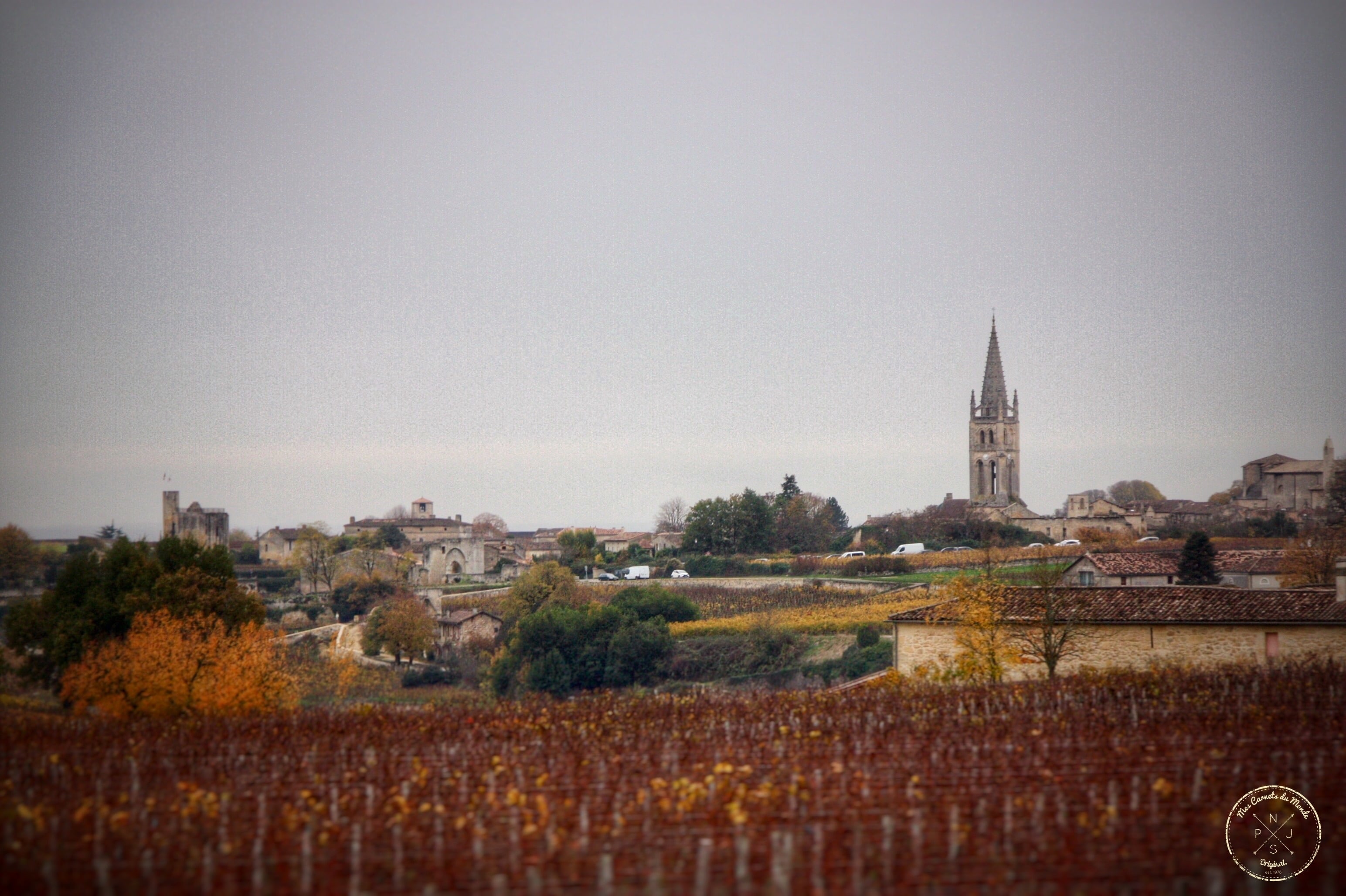 Oenotourisme : Visite de Château depuis Bordeaux - St Emilion