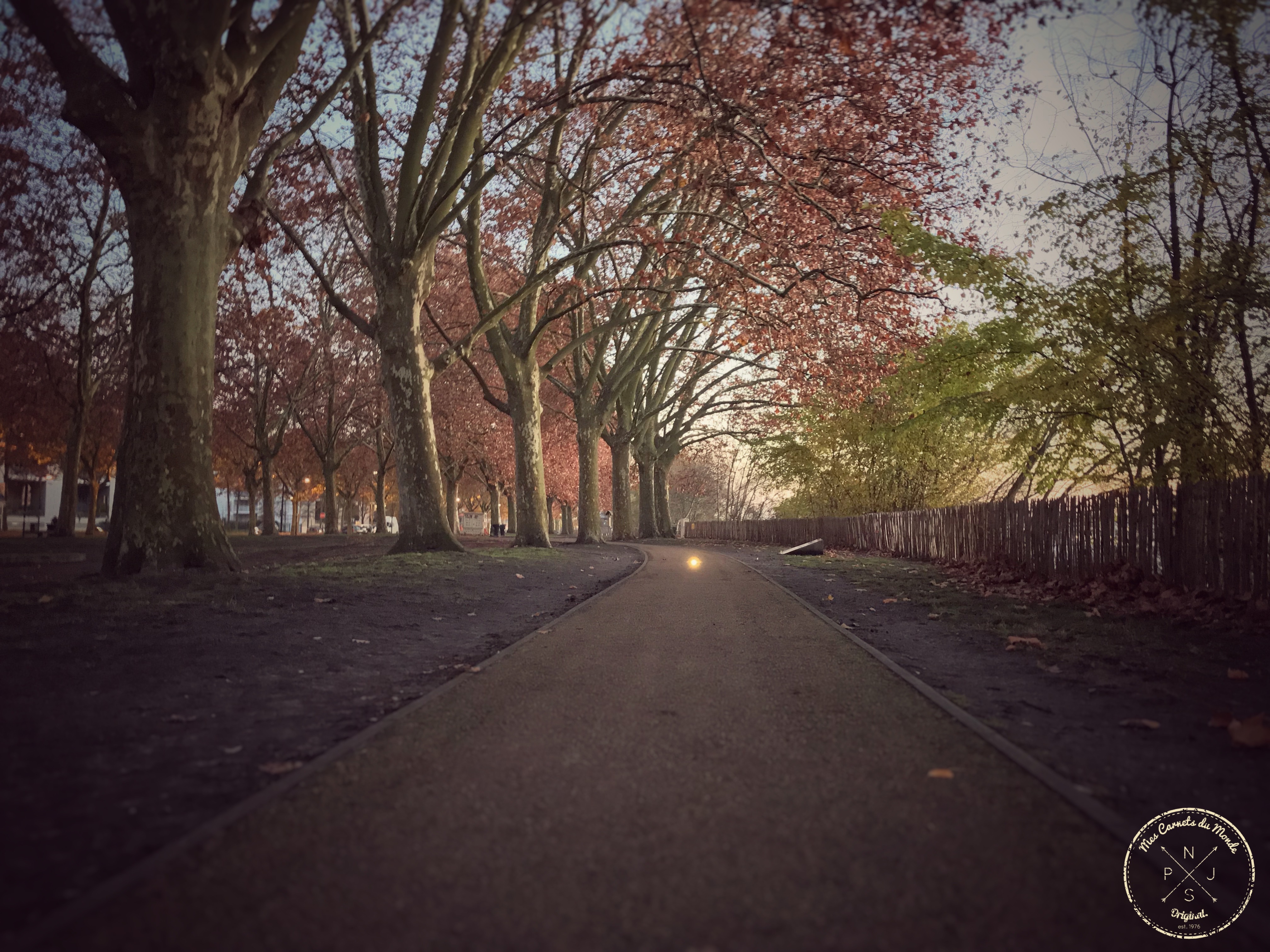 Semi-Marathon de Bordeaux, Semi-Marathon Man à Bordeaux : L’entraînement, Mes Carnets du Monde