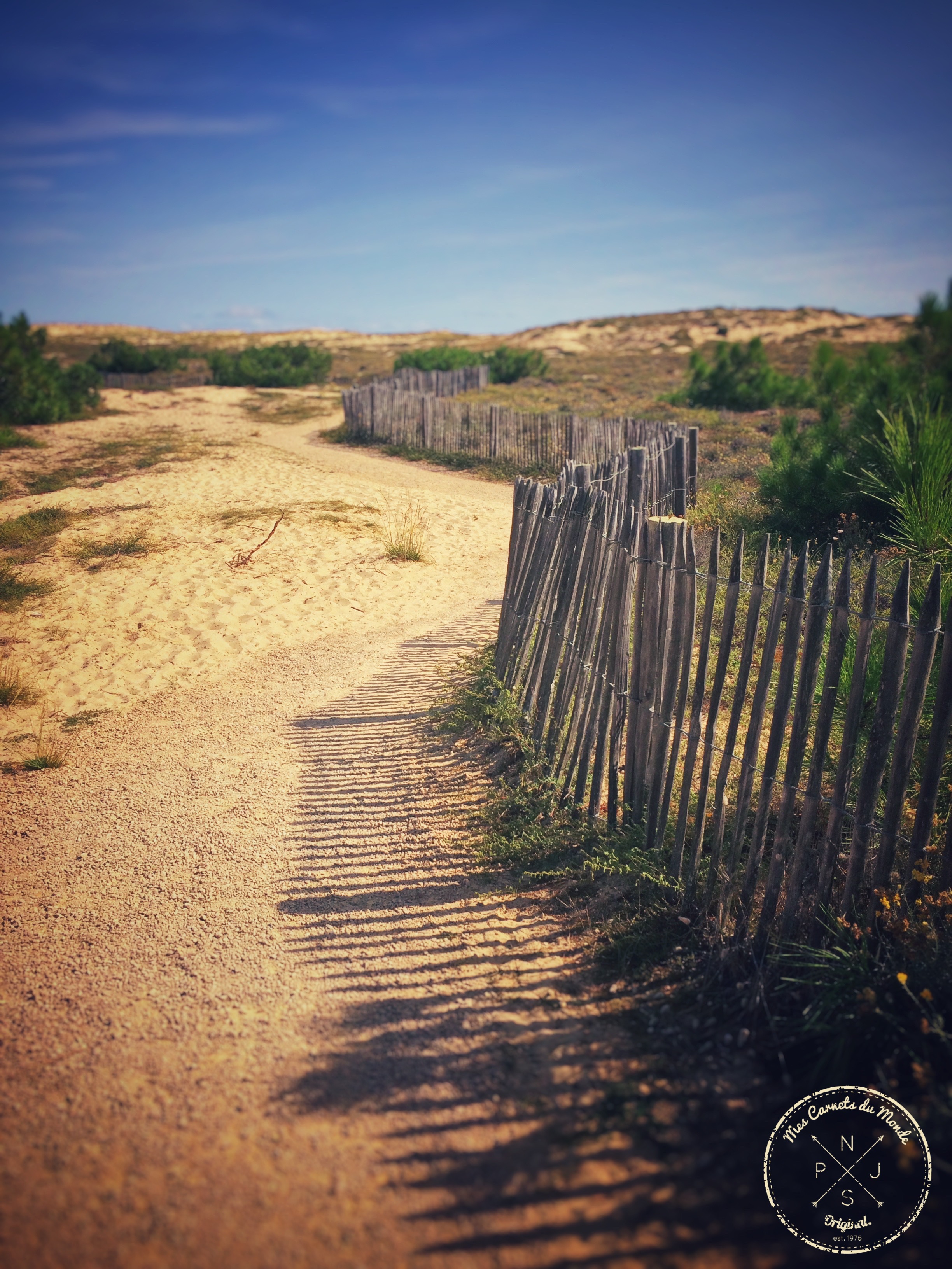 Semi-marathon : courir dans les dunes