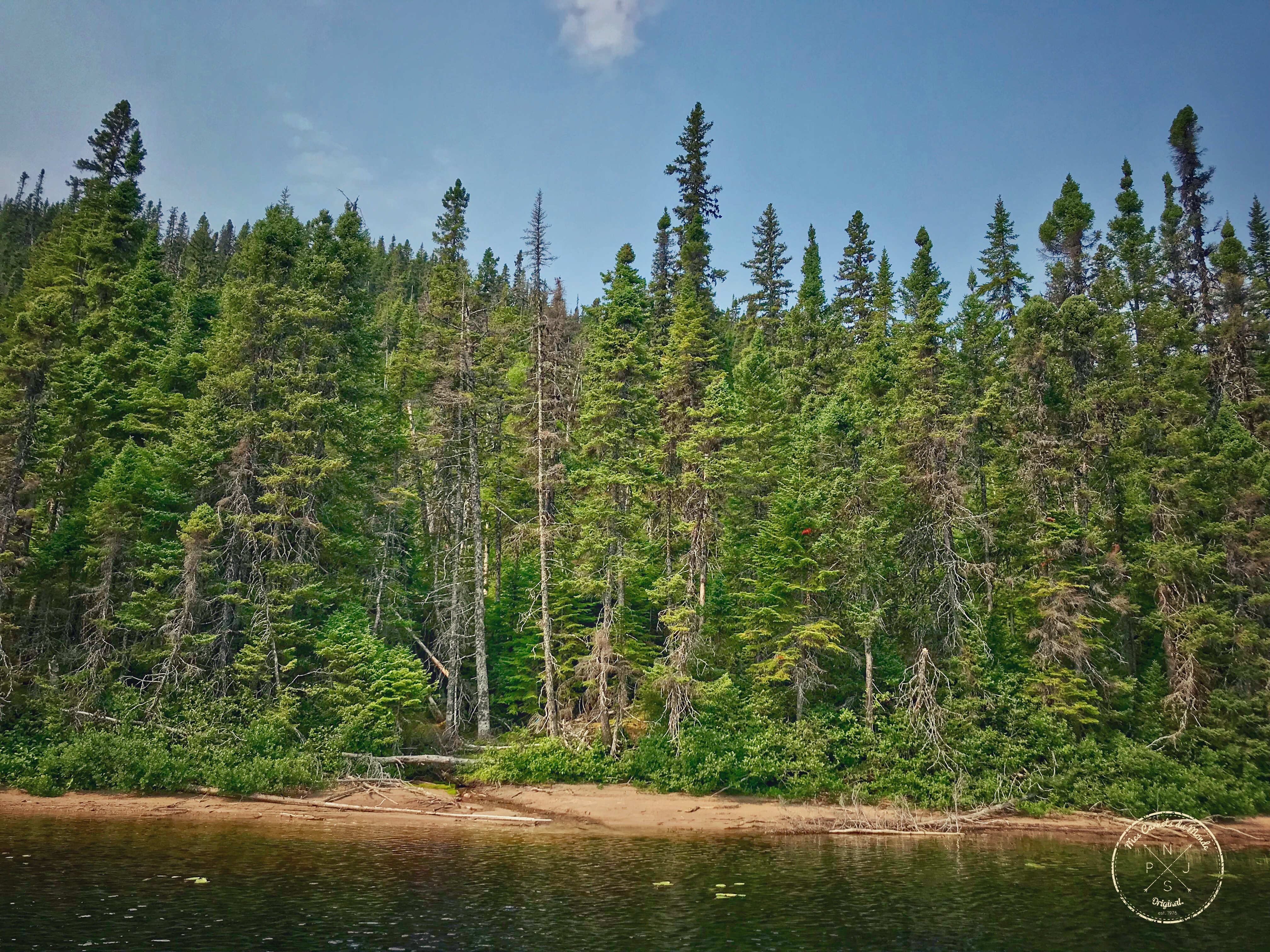 Foret de bord de lac au Québec ecotourisme