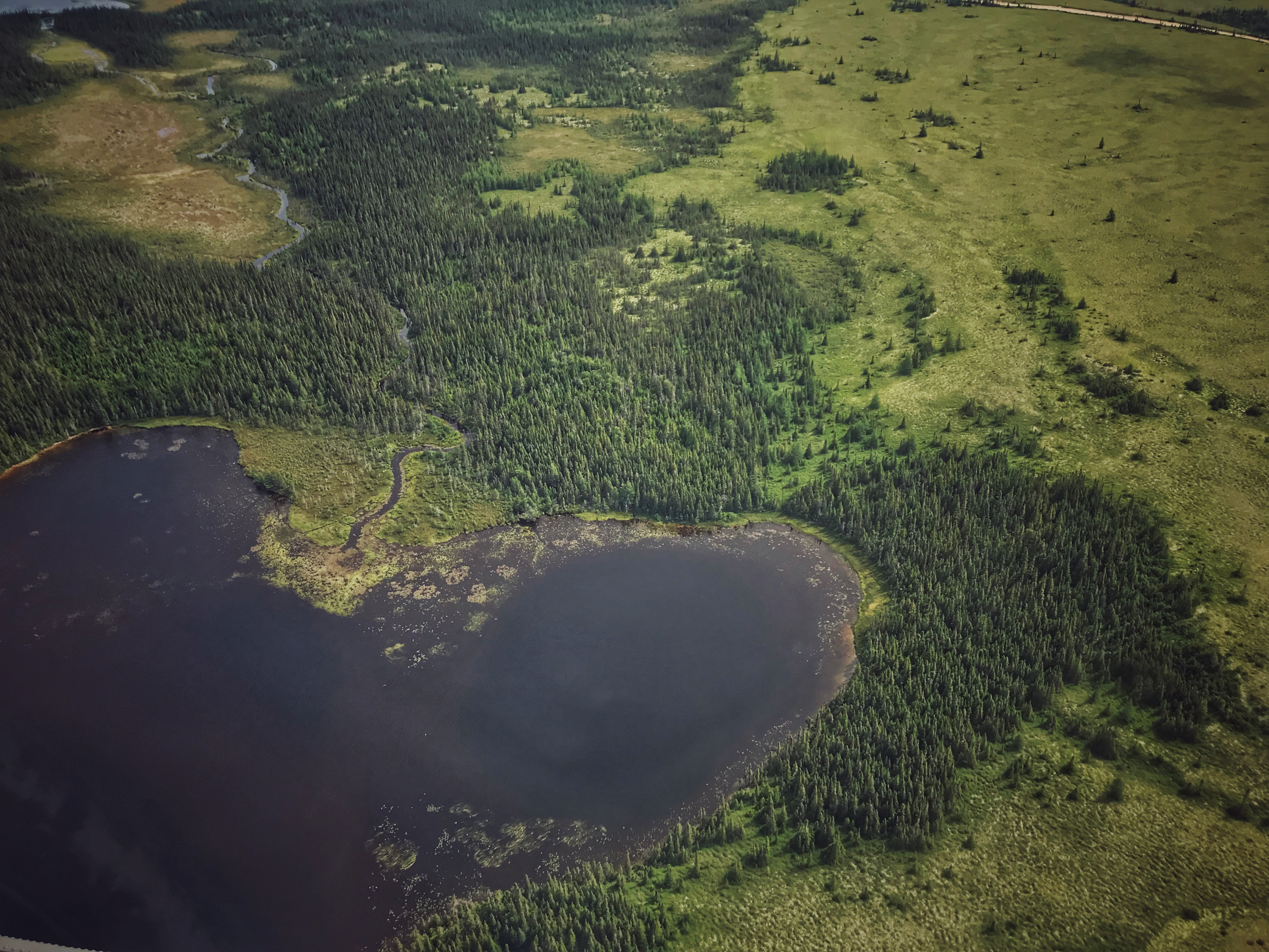 Forêt et lac au Québec vu du ciel - écotourisme