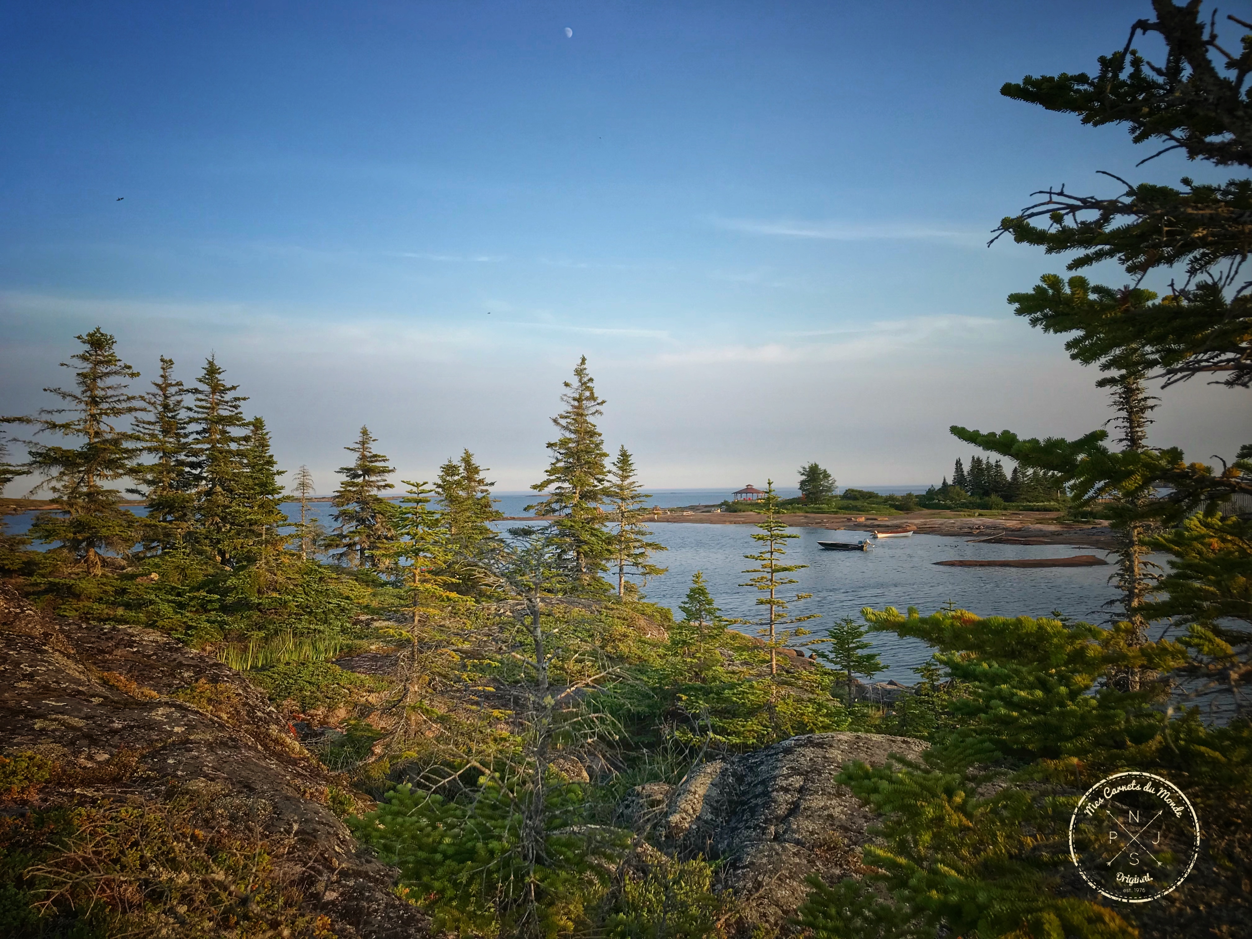 Vue sur la mer, entre les sapins à Baie Johan Beetz, à Québec, Canada