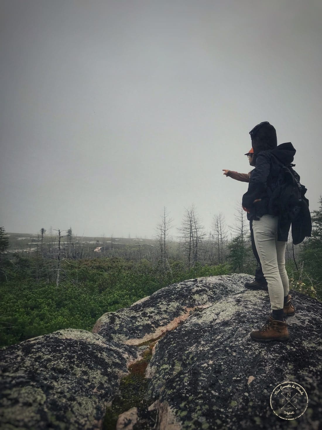 Sur un rocher, dans la tourbière de la pourvoirie