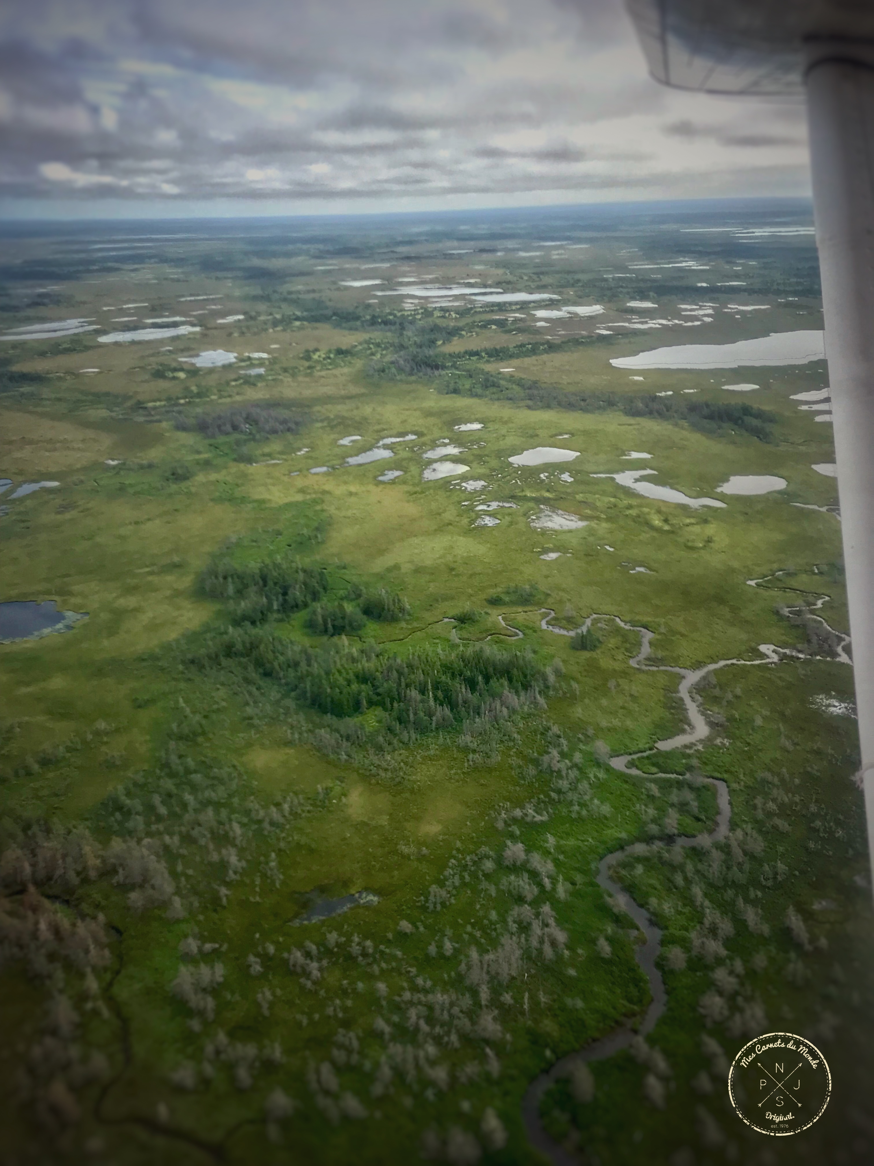 Foret vue du ciel - écotourisme