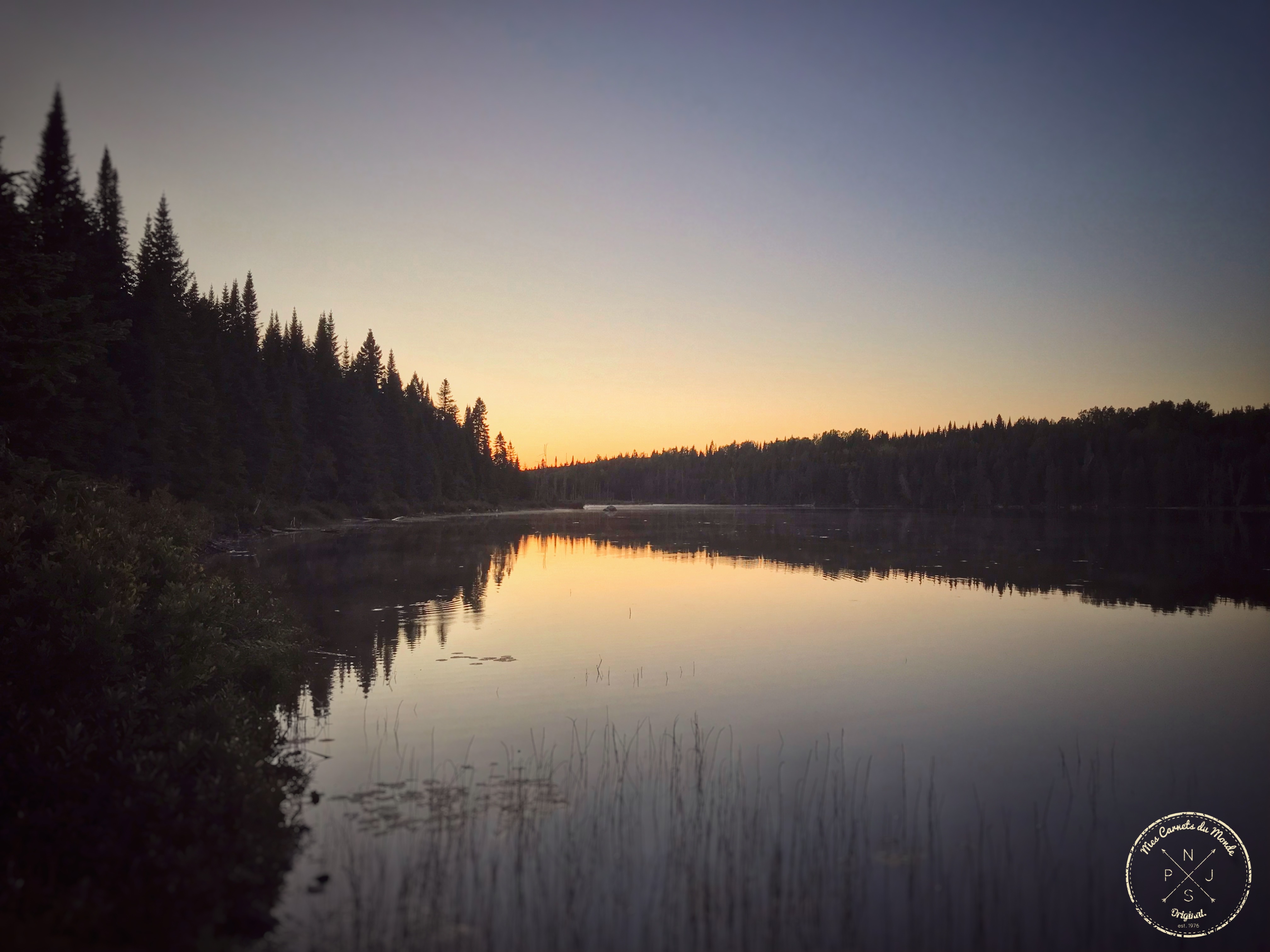 Forêt Canadienne, L&#8217;Appel de la Forêt Canadienne &#8211; Chapitre 2, Mes Carnets du Monde