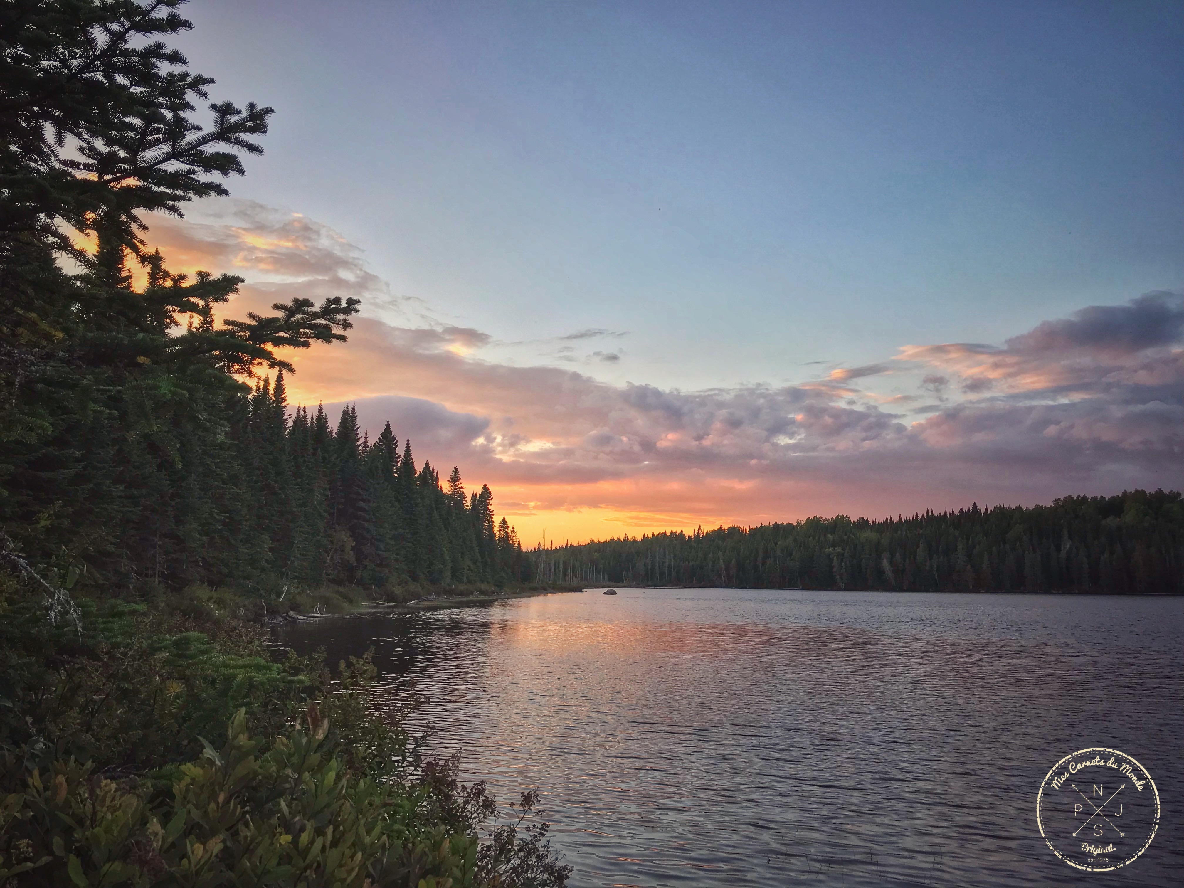 Forêt Canadienne, L&#8217;Appel de la Forêt Canadienne &#8211; Chapitre 2, Mes Carnets du Monde