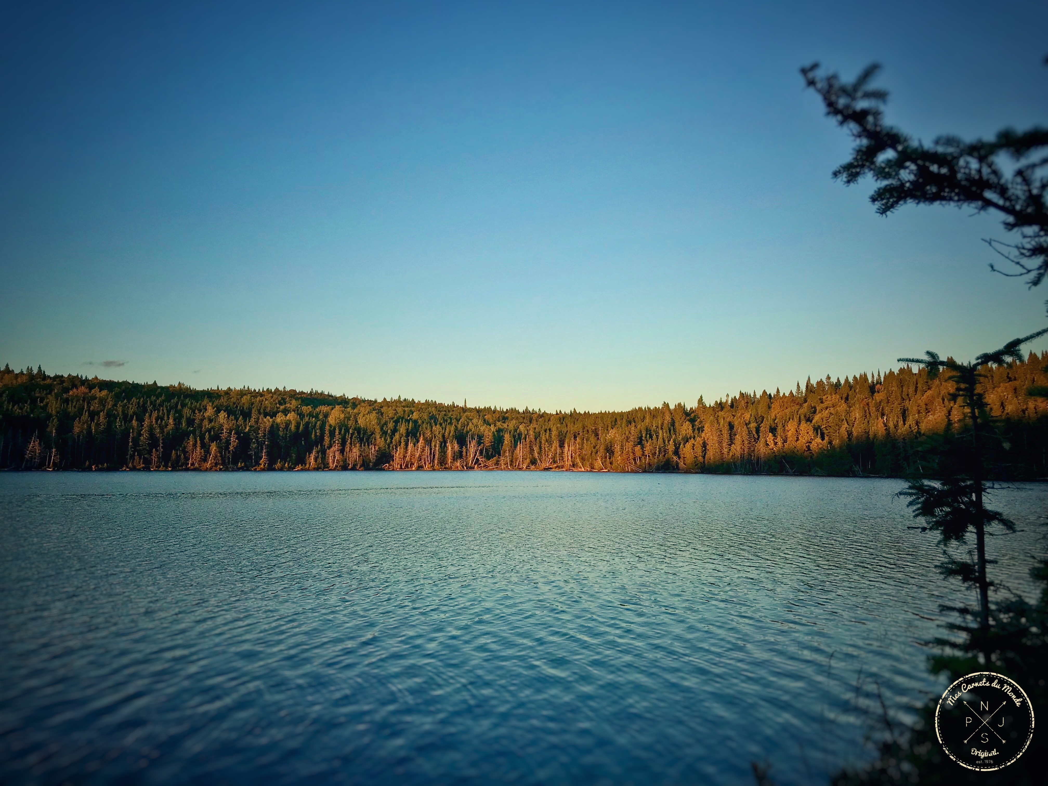 Forêt Canadienne, L&rsquo;Appel de la Forêt Canadienne &#8211; Chapitre 2, Mes Carnets du Monde