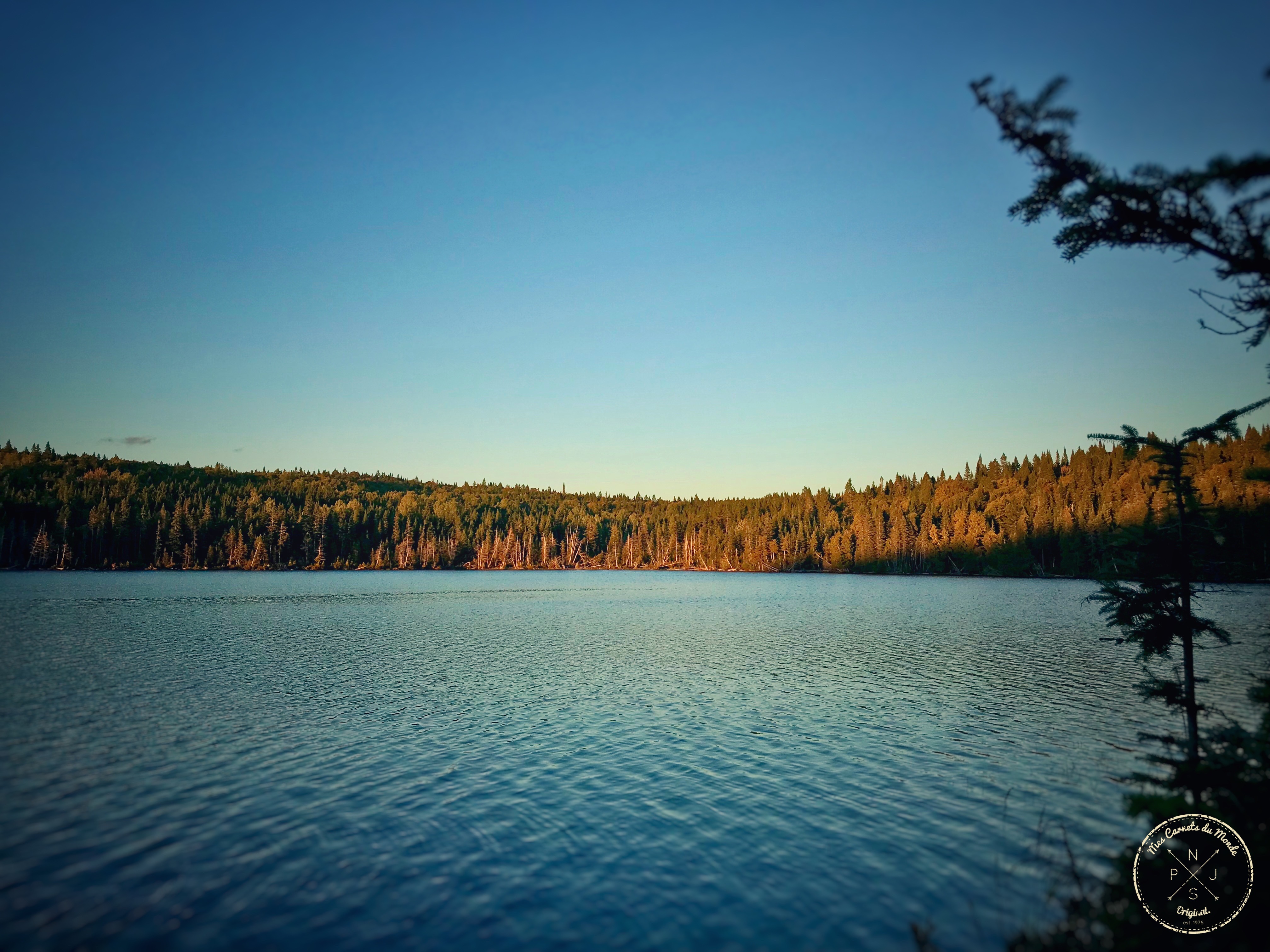 Forêt Canadienne, L&#8217;Appel de la Forêt Canadienne &#8211; Chapitre 2, Mes Carnets du Monde