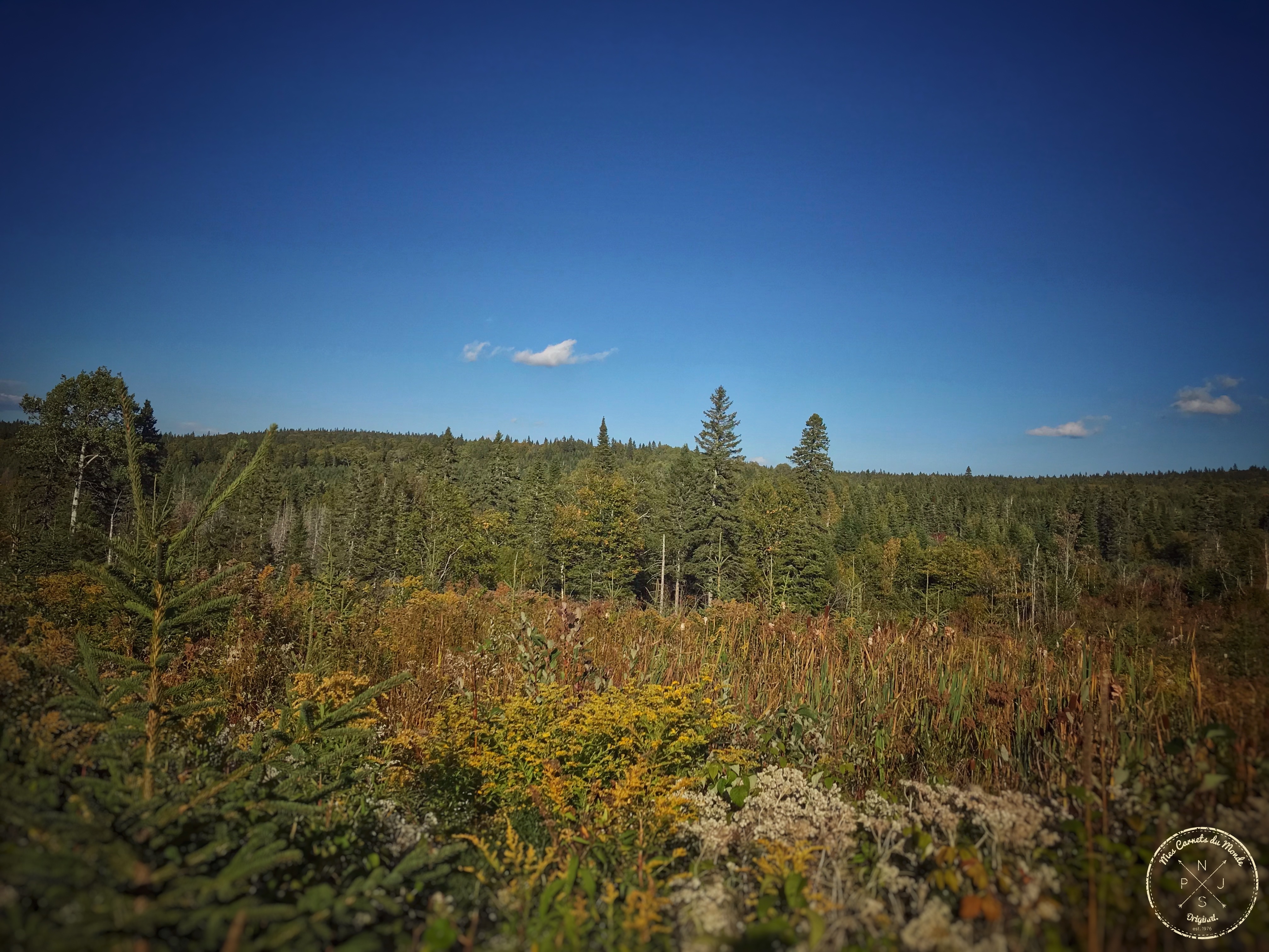 Forêt Québec, L&#8217;Appel de la Forêt Canadienne &#8211; Chapitre 1, Mes Carnets du Monde