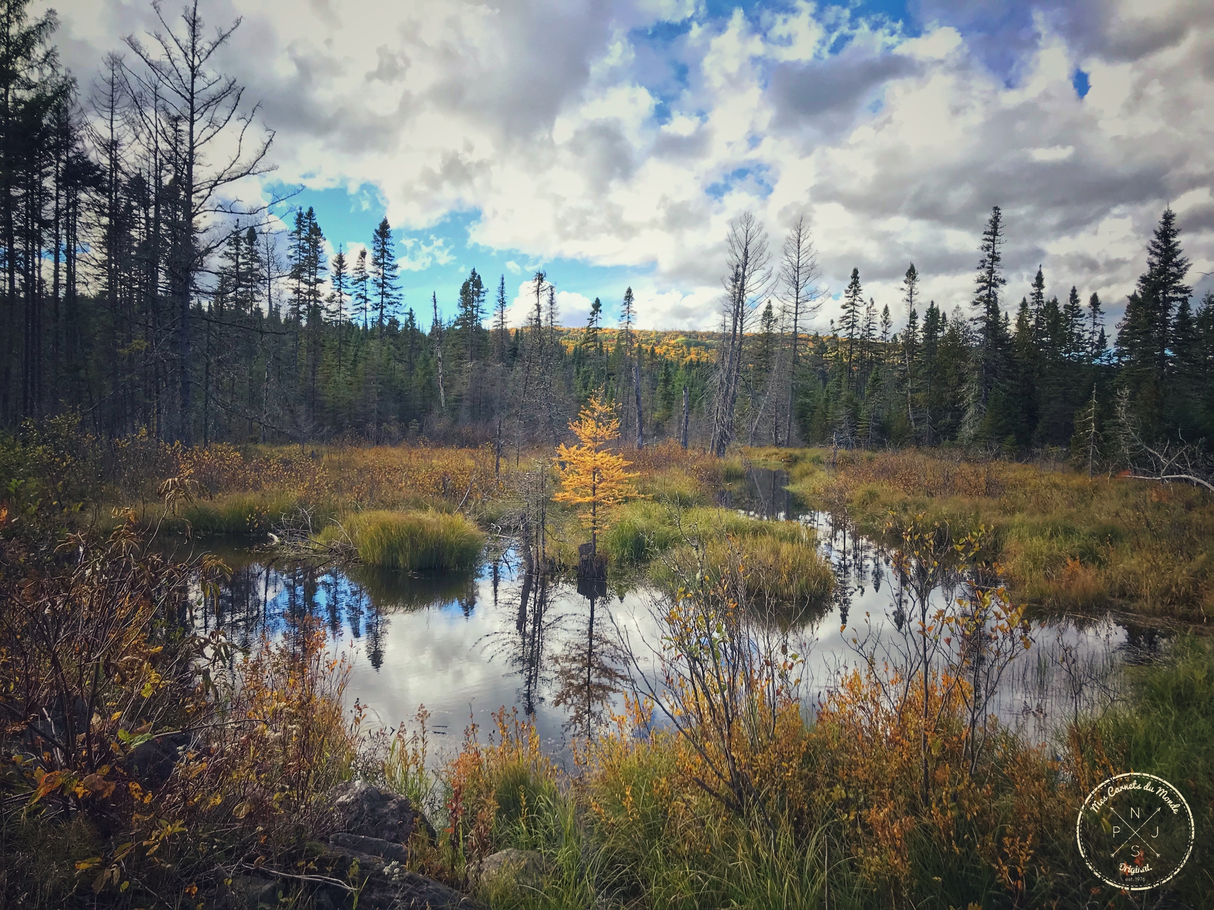 Forêt Québec, Dans la Forêt Lointaine&#8230; Aux Couleurs de l&rsquo;Eté Indien Canadien, Mes Carnets du Monde
