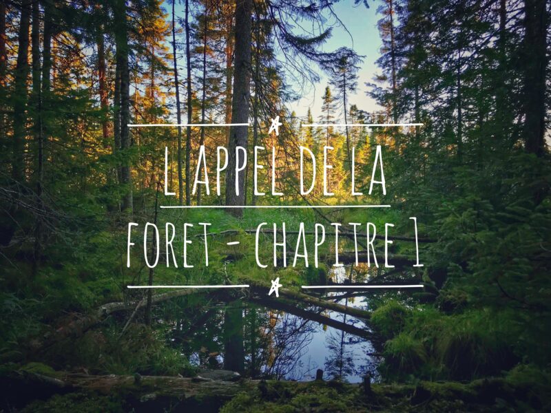 L'Appel de la Forêt Canadienne - Chapitre 1