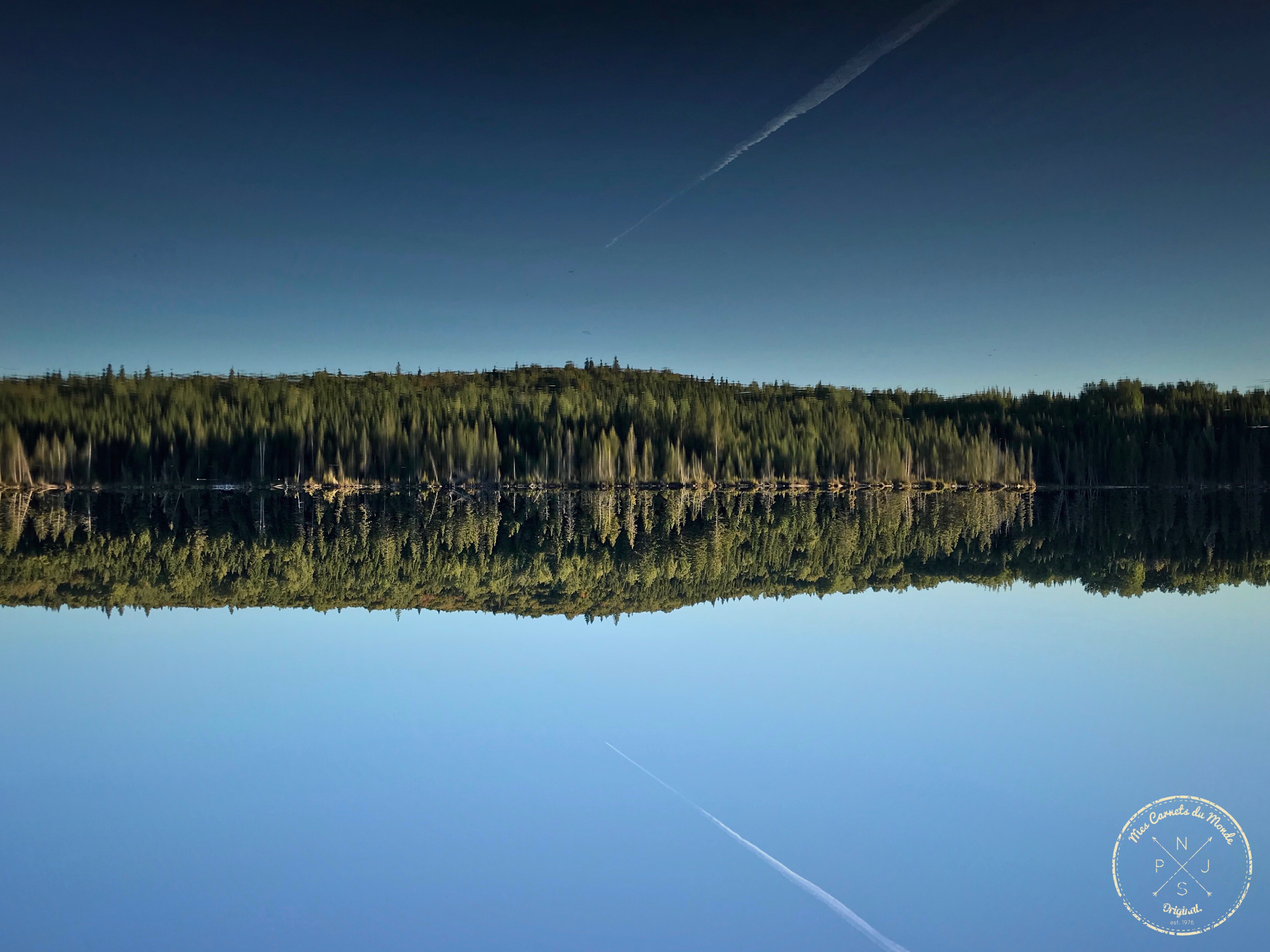 Forêt Québec, Dans la Forêt Lointaine&#8230; Aux Couleurs de l&rsquo;Eté Indien Canadien, Mes Carnets du Monde
