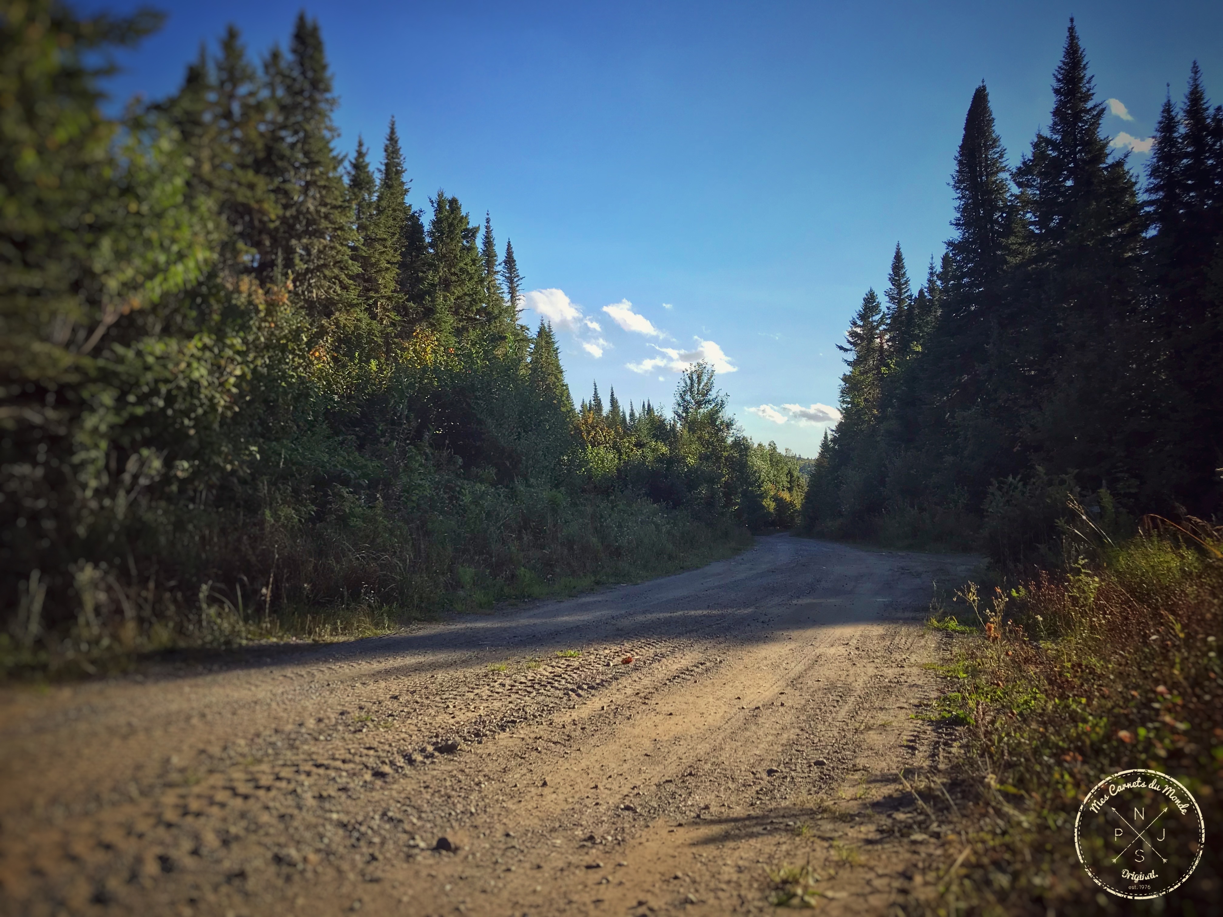 Forêt Québec, Dans la Forêt Lointaine&#8230; Aux Couleurs de l&rsquo;Eté Indien Canadien, Mes Carnets du Monde