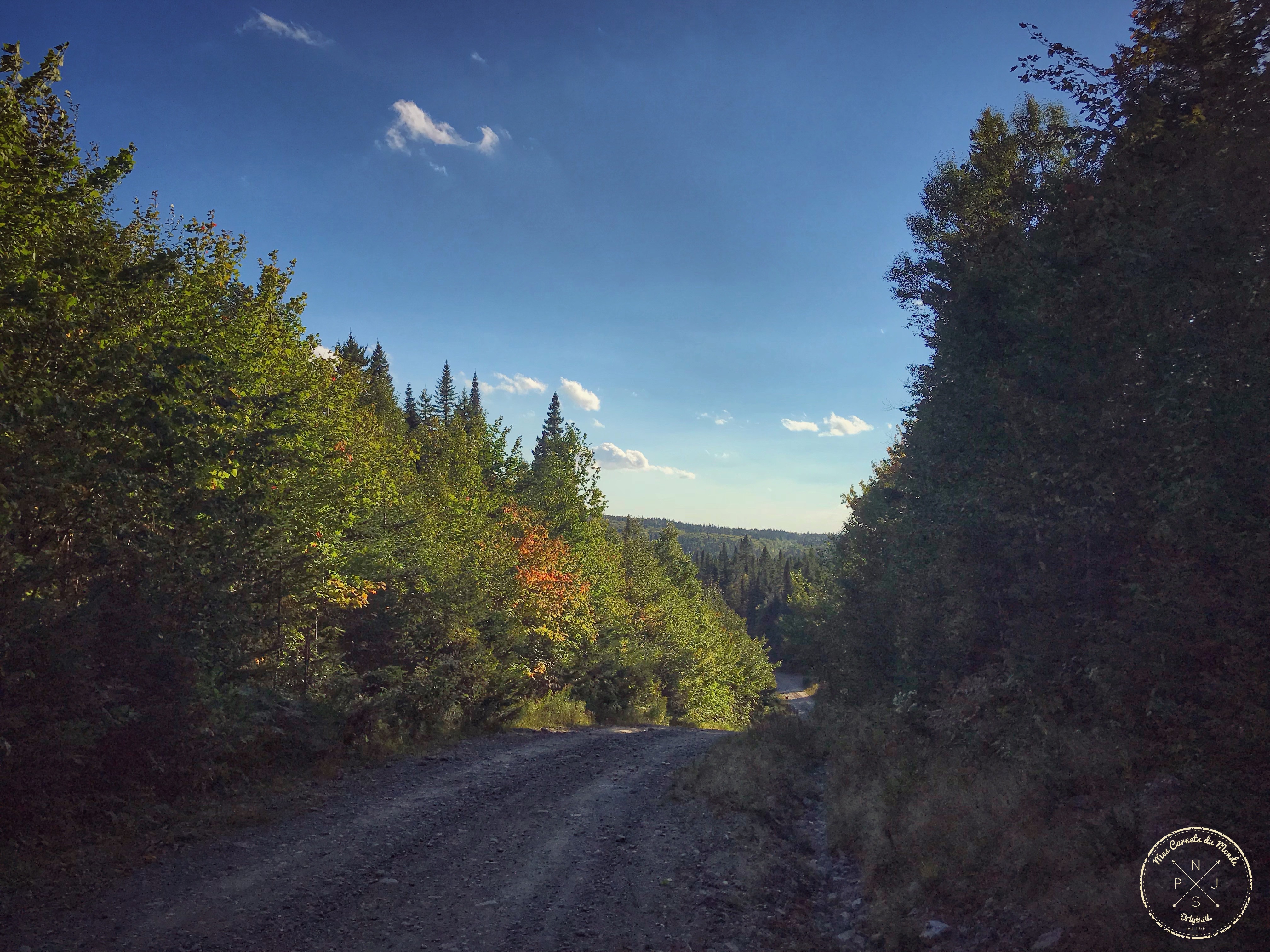 Forêt Québec, Dans la Forêt Lointaine&#8230; Aux Couleurs de l&rsquo;Eté Indien Canadien, Mes Carnets du Monde