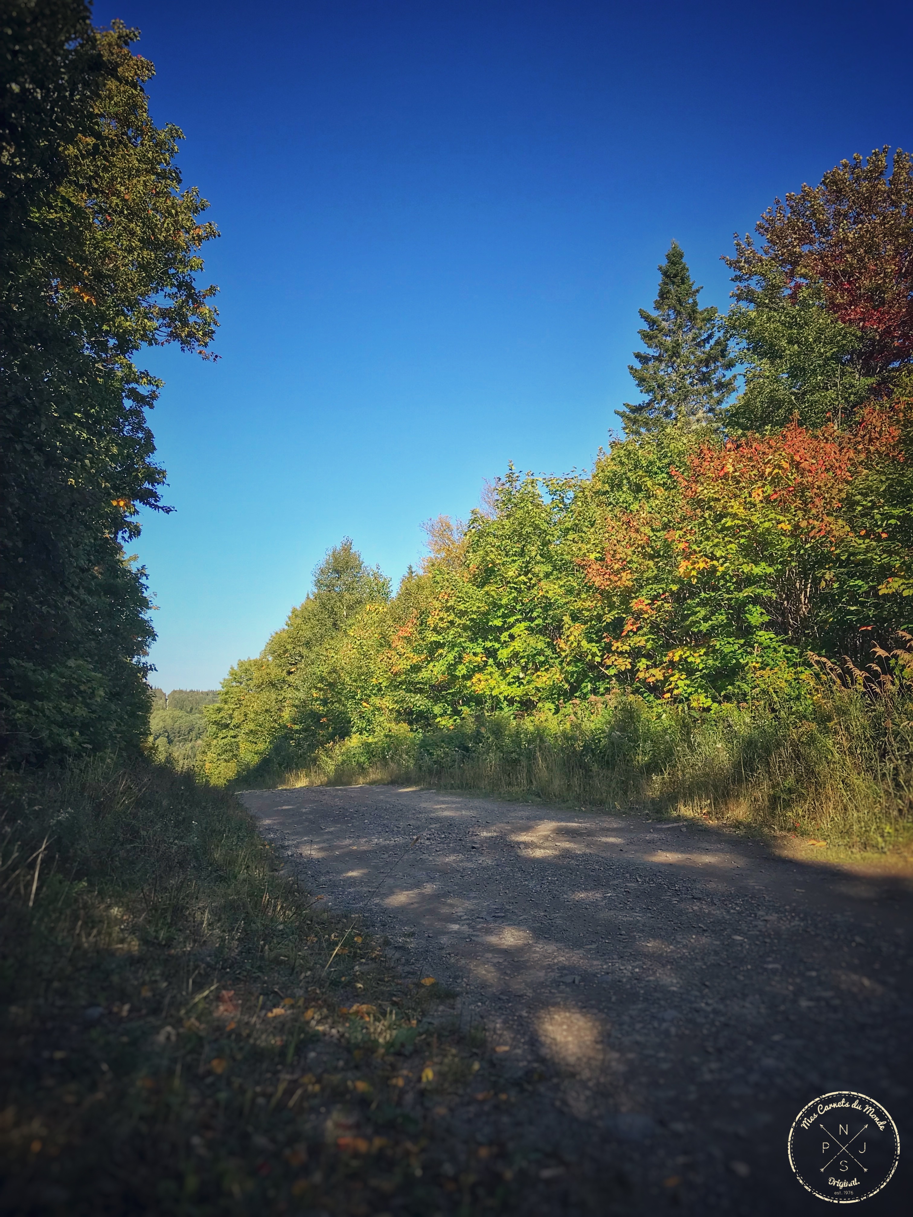 Forêt Québec, Dans la Forêt Lointaine&#8230; Aux Couleurs de l&rsquo;Eté Indien Canadien, Mes Carnets du Monde