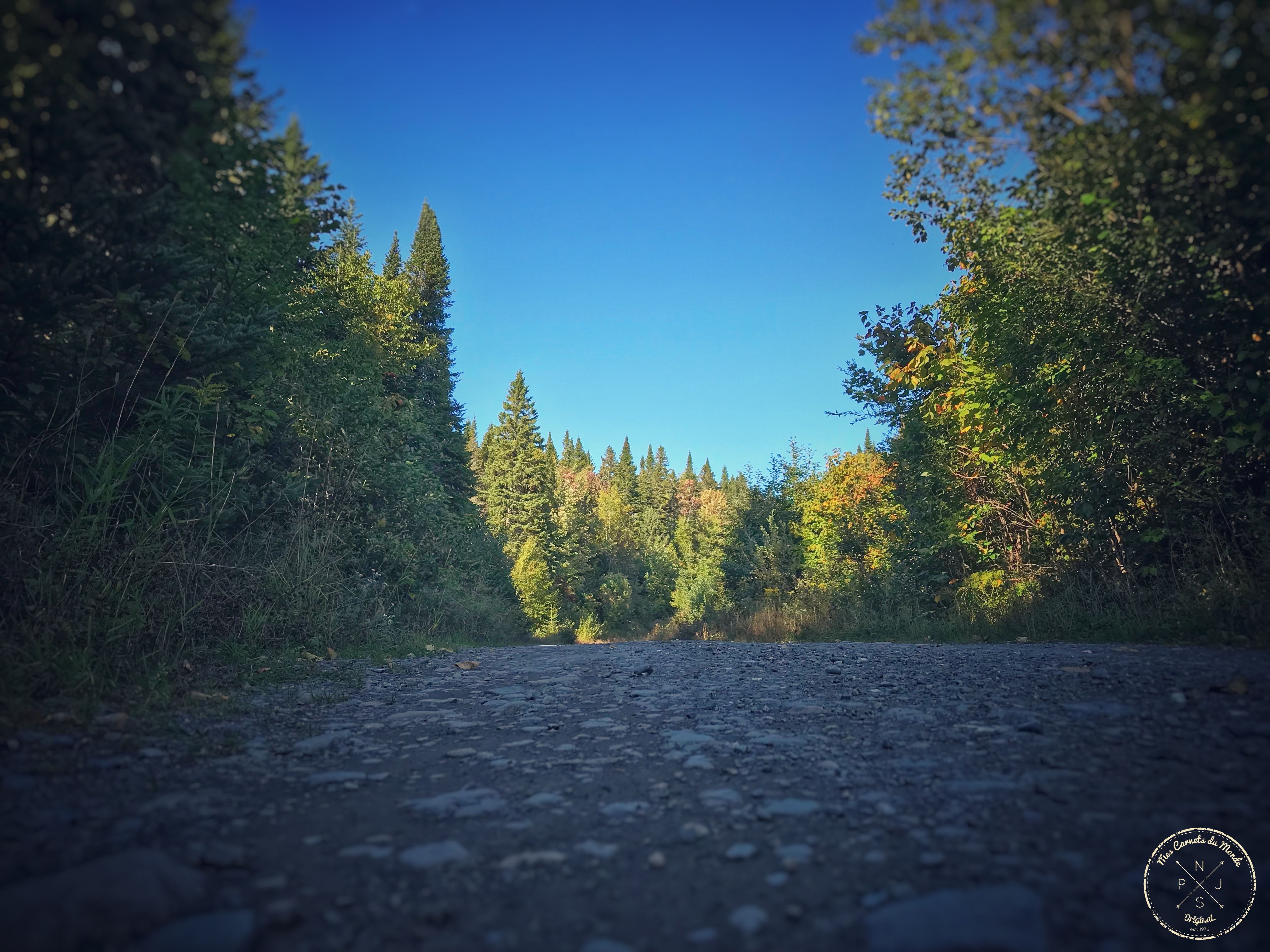 Forêt Québec, Dans la Forêt Lointaine&#8230; Aux Couleurs de l&rsquo;Eté Indien Canadien, Mes Carnets du Monde