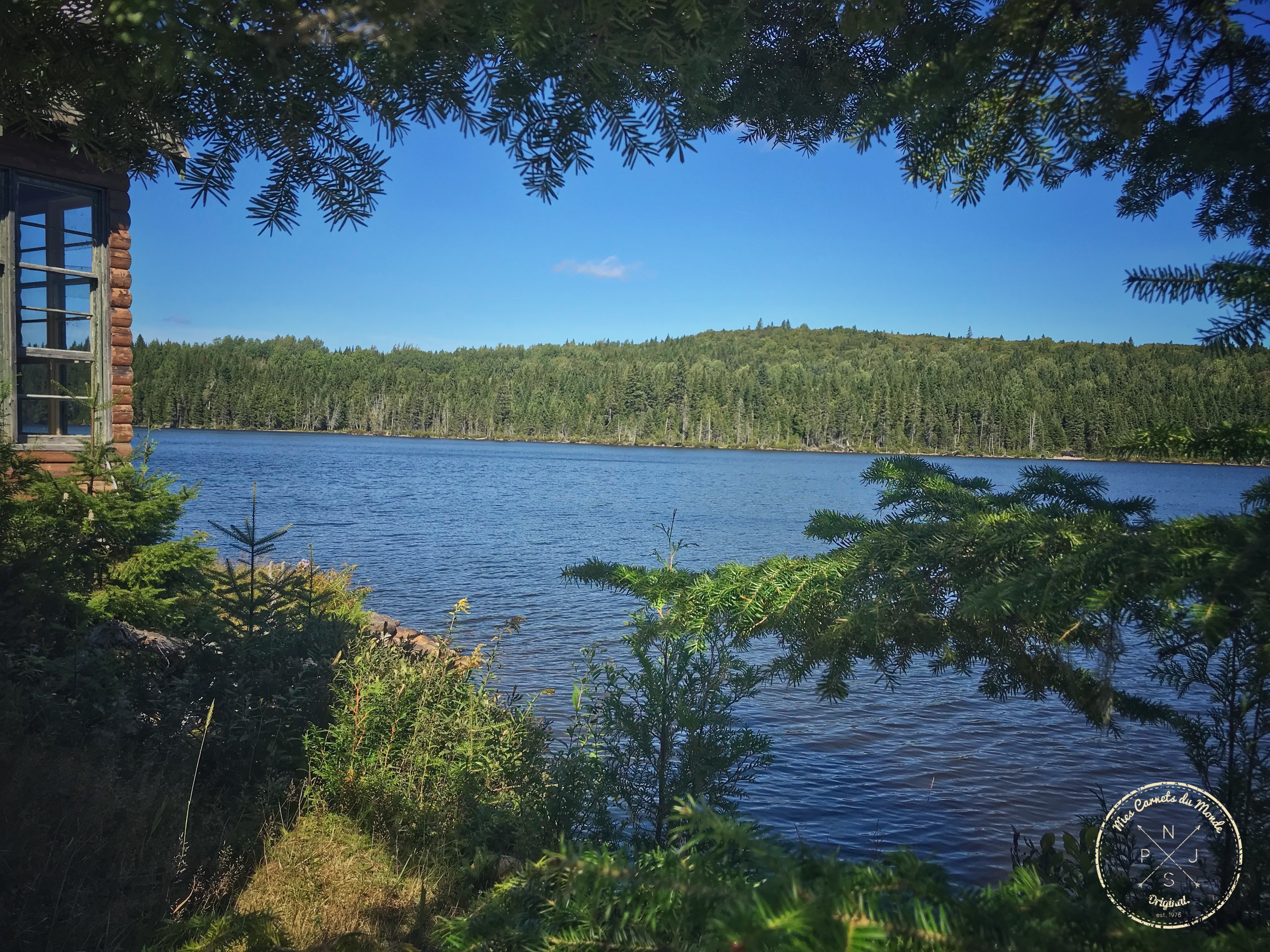 Forêt Québec, Dans la Forêt Lointaine&#8230; Aux Couleurs de l&rsquo;Eté Indien Canadien, Mes Carnets du Monde