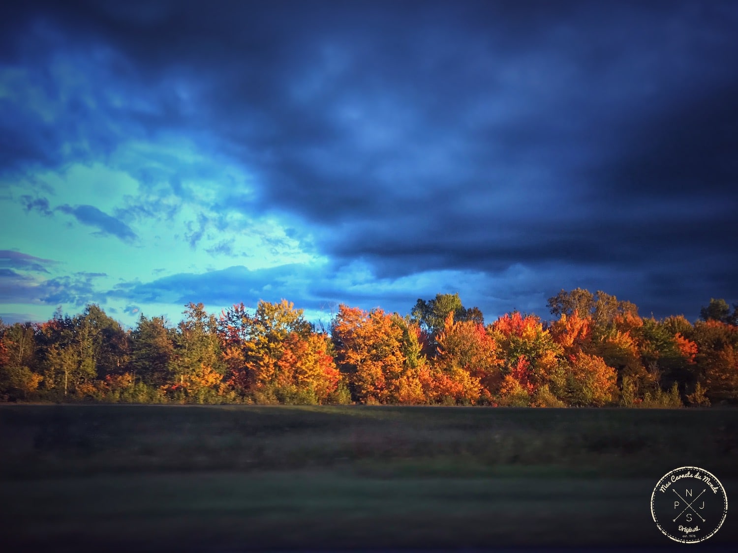 Retour de Chasse au Canada : la forêt aux couleurs de l'Automne