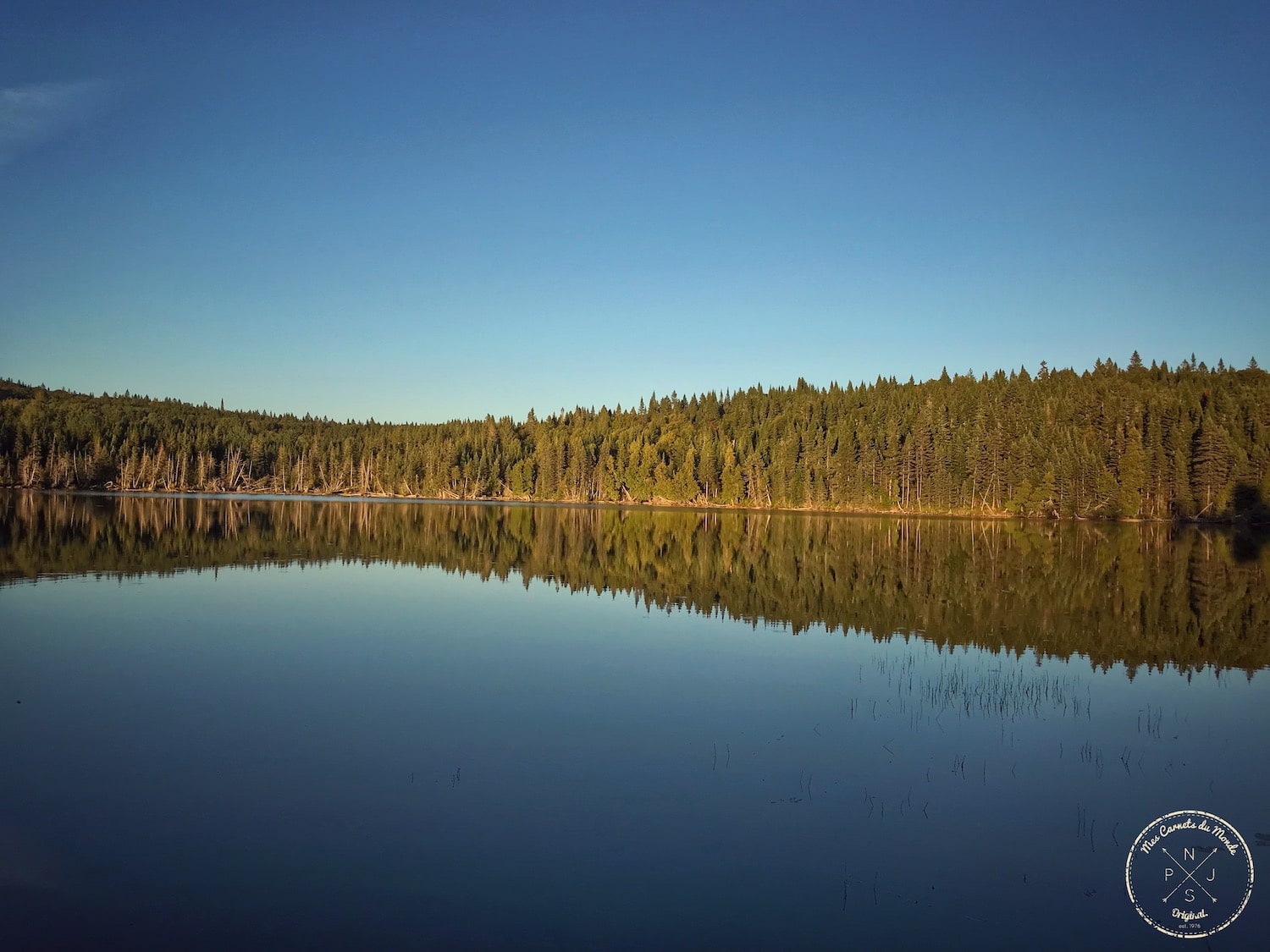 Reflets de la forêt sur le lac au Canada, début de la période de chasse