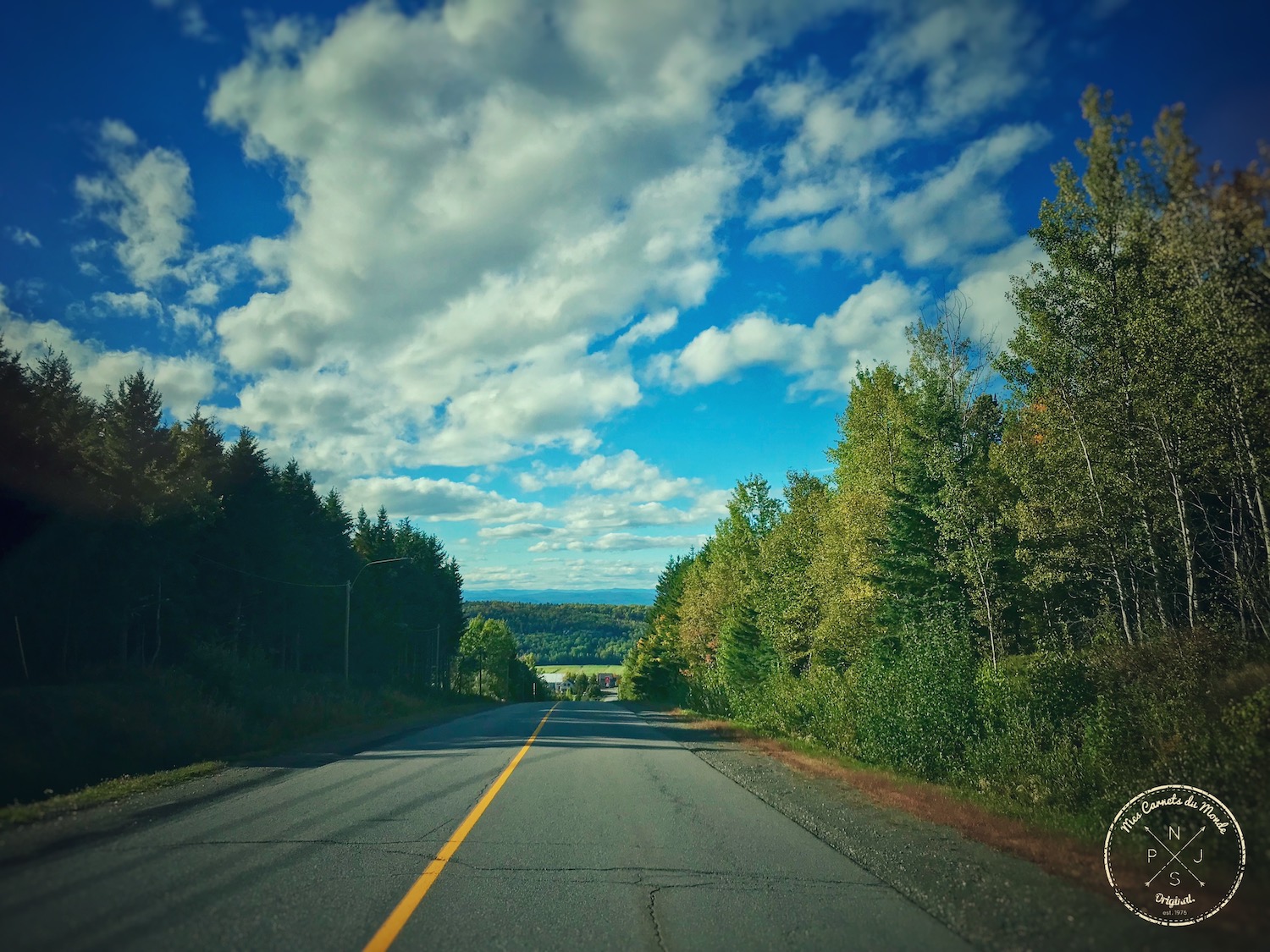 Retour de Chasse au Canada : sur la route dans la forêt