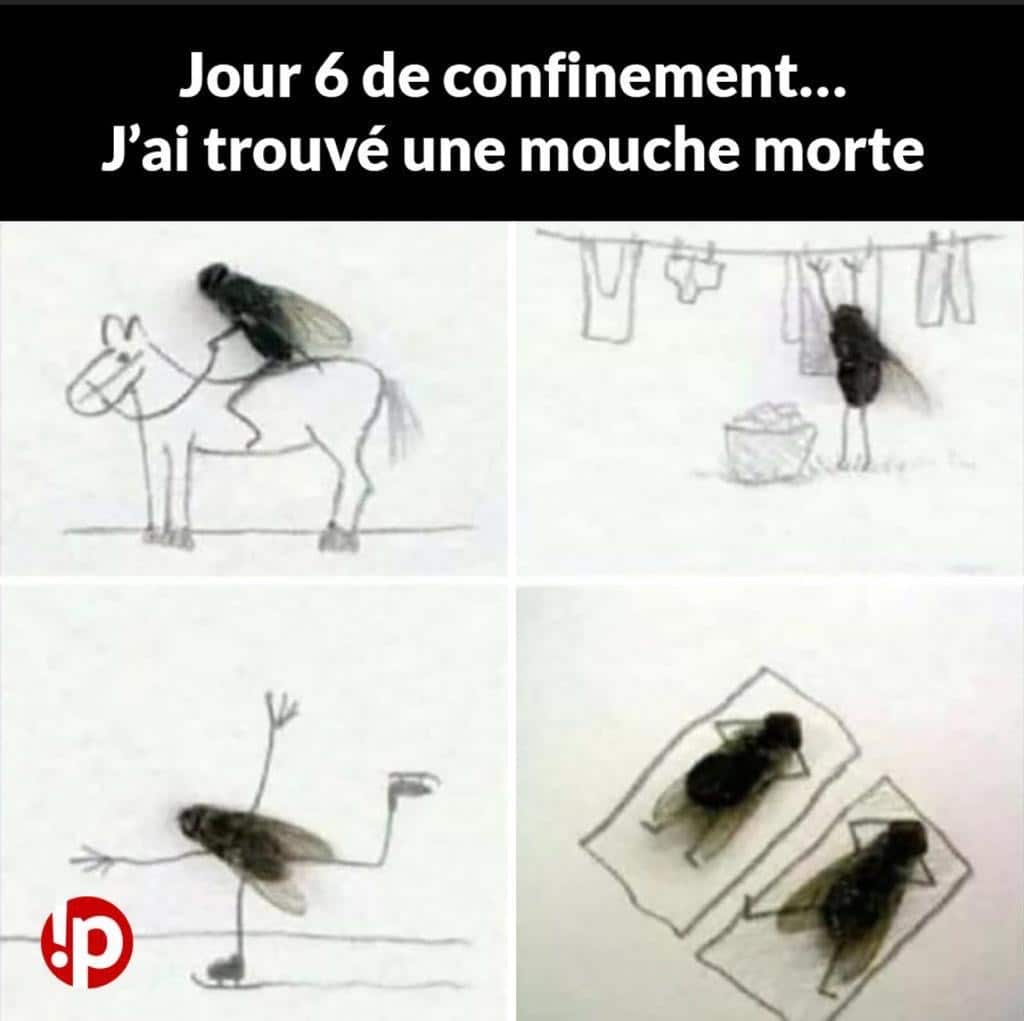 Confinement Bordeaux, Confinement à Bordeaux & Epidémie de Coronavirus… Bilan de la semaine 1, Mes Carnets du Monde
