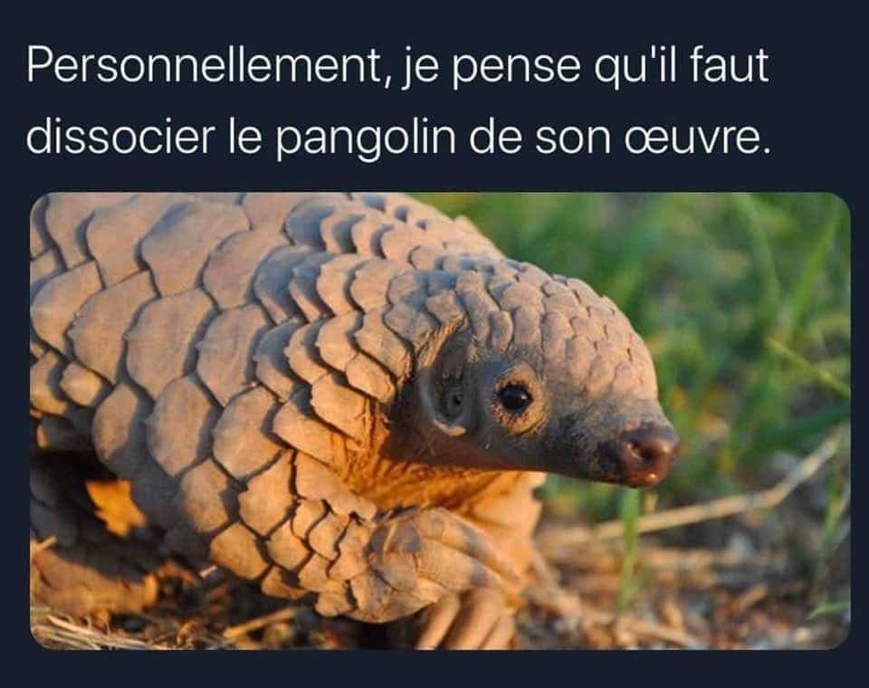 Pangolin, Coronavirus