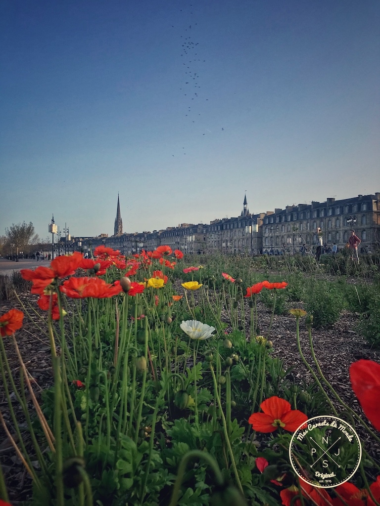 Quais de Bordeaux lors du confinement dû au Coronavirus - Mars 2020