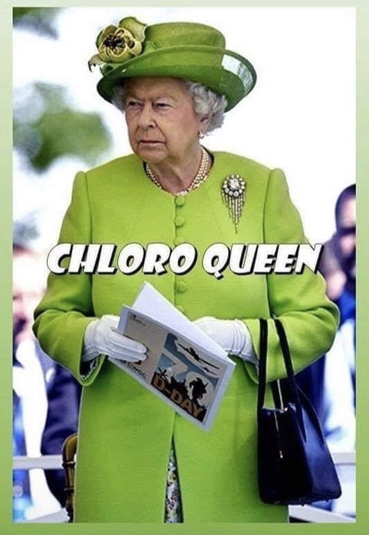 Chloroquine - queen - Confinement Coronavirus 2020