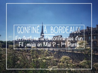 Coronavirus Confinenement à Bordeaux - Avril et Mai 2020 - Mes Carnets du Monde - 1