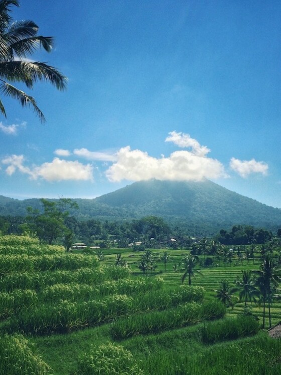 Rizières et Volcan à Bali