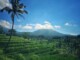 Rizières et Volcan à Bali
