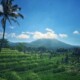 Rizières et Volcan à Bali
