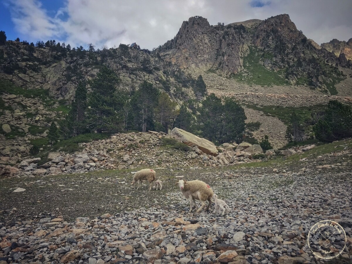 Randonnée à la Mongie, Randonnée au Lac de Portheil sur les Pas de la Crabe à La Mongie (Pyrénées), Mes Carnets du Monde