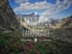 Titre : Carnets de Randonnée - Photo de Montagne, Pic du Midi et Rhododendrons